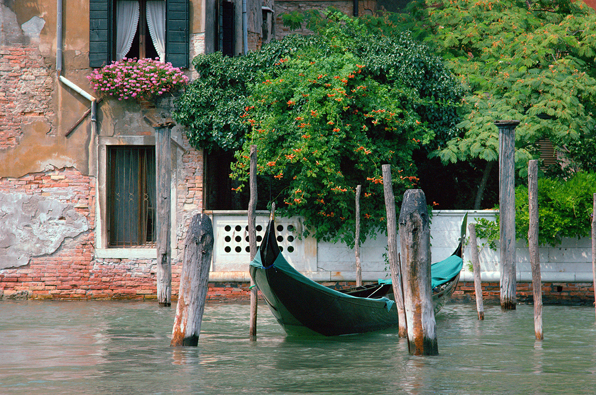 Venice05CCPeterCrop1200.jpg