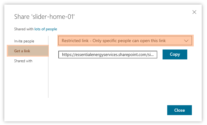 Step 2 - Choose the Restricted Link Option.png