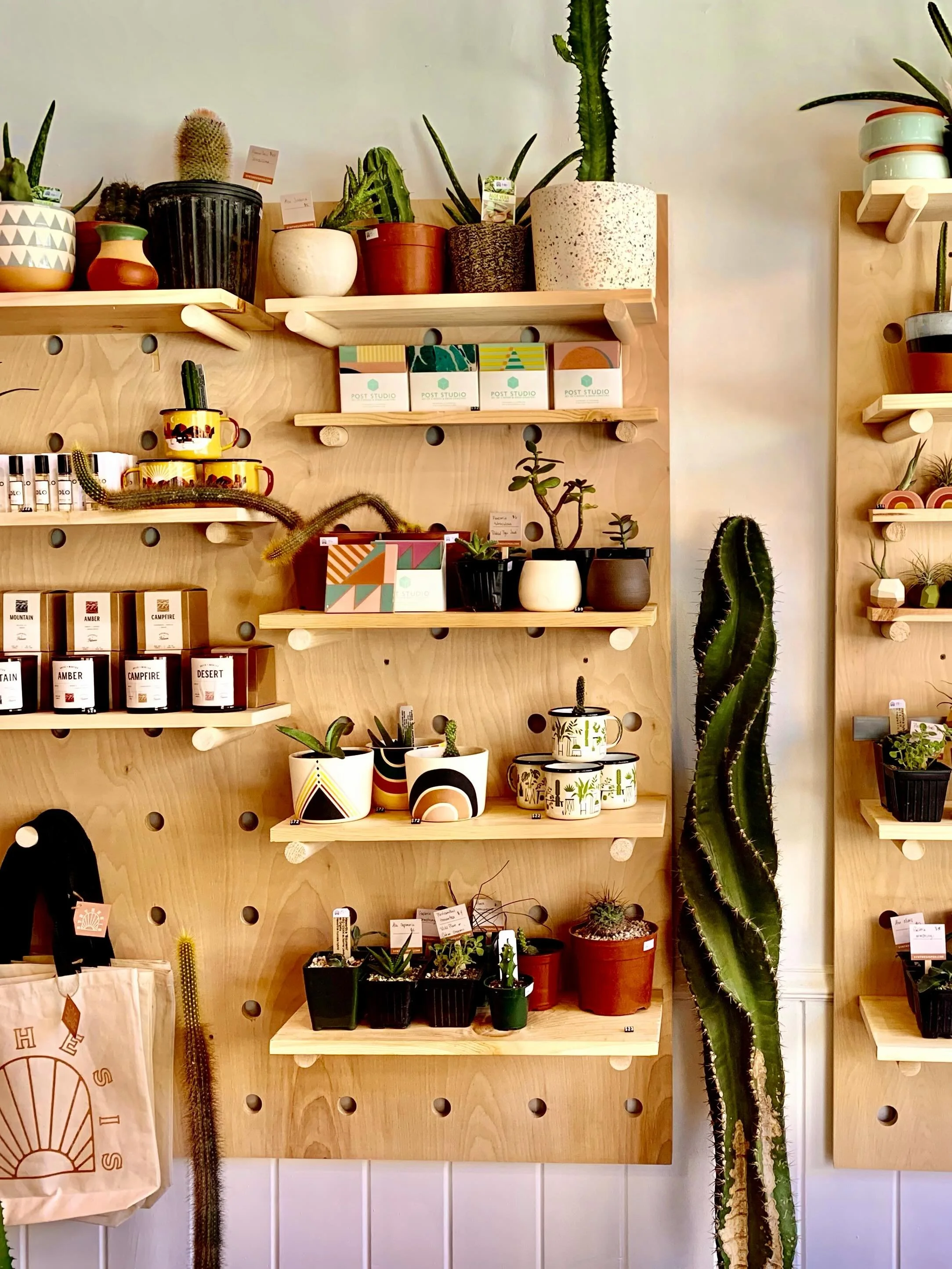 Working my last shift at Synthesis today. 🌵🥹 Bittersweet as building this shop with @ambergetaniphone is one of my favorite things I&rsquo;ve ever done. She moved from LA to Pittsburgh, changed jobs, and kept the lights on well past a global pandem