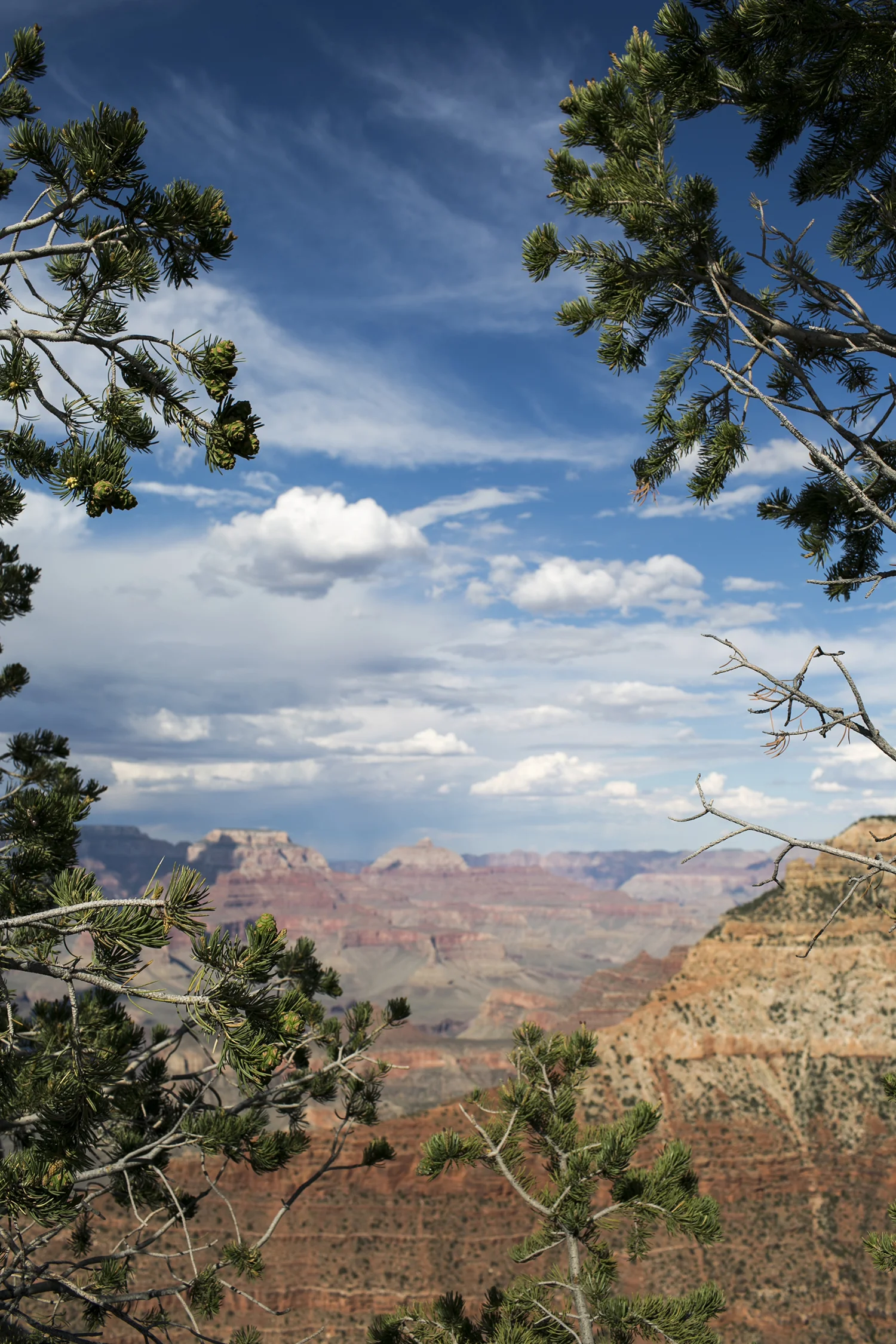 US_AZ_GrandCanyon_Family_0143.jpg