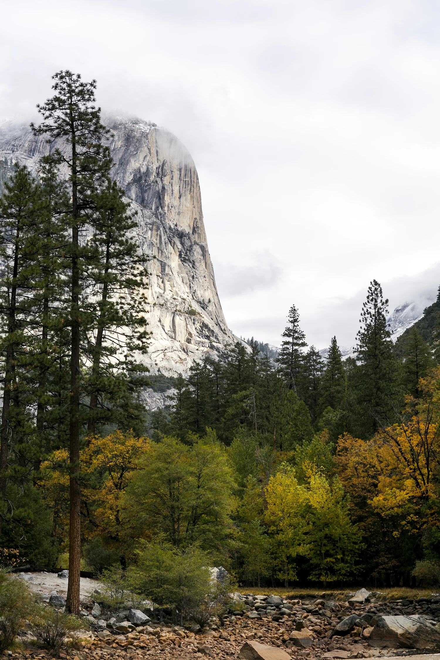 US_CA_Yosemite_Charter_088.jpg