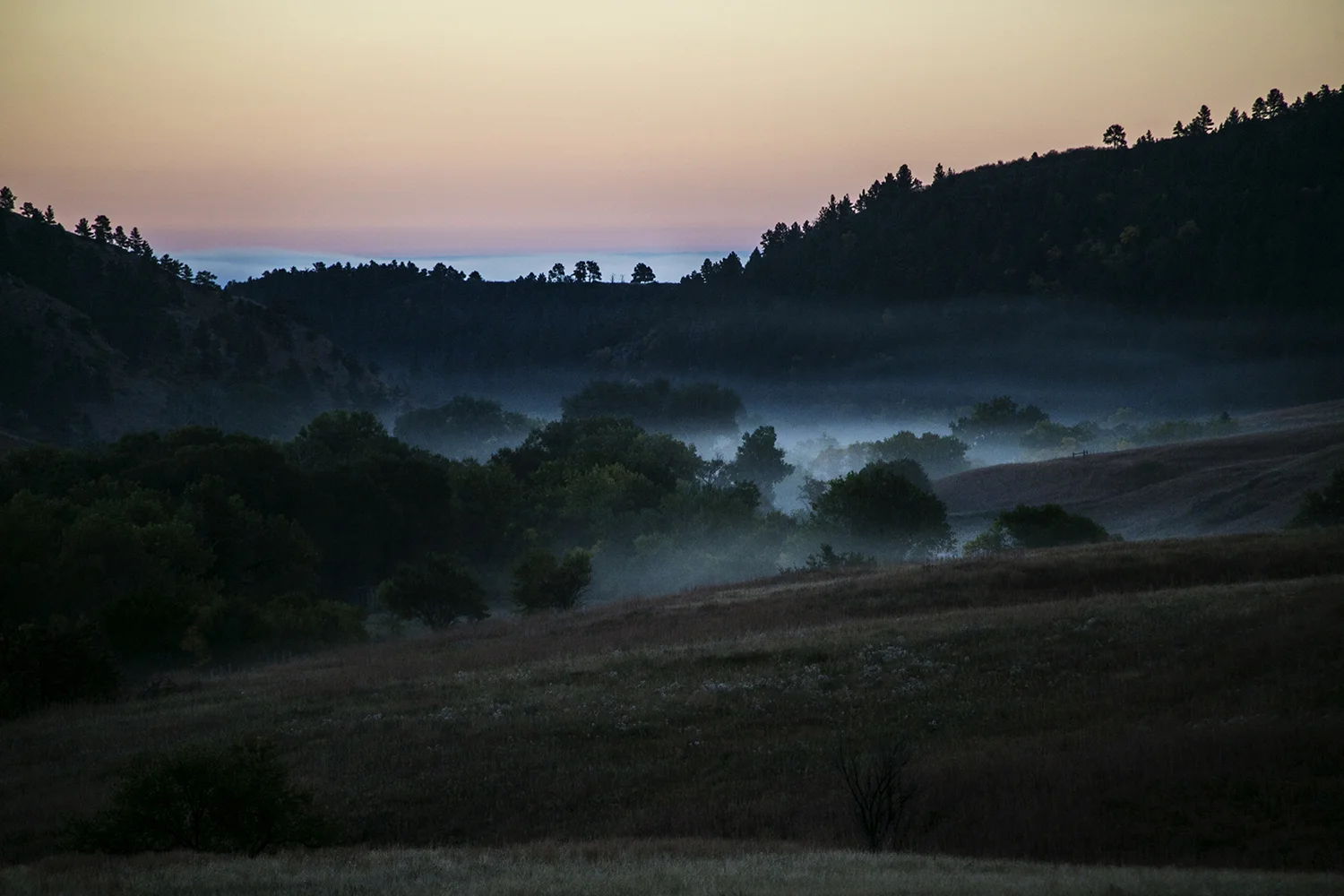 US_SD_CusterStatePark_PhotoClass_0027.jpg