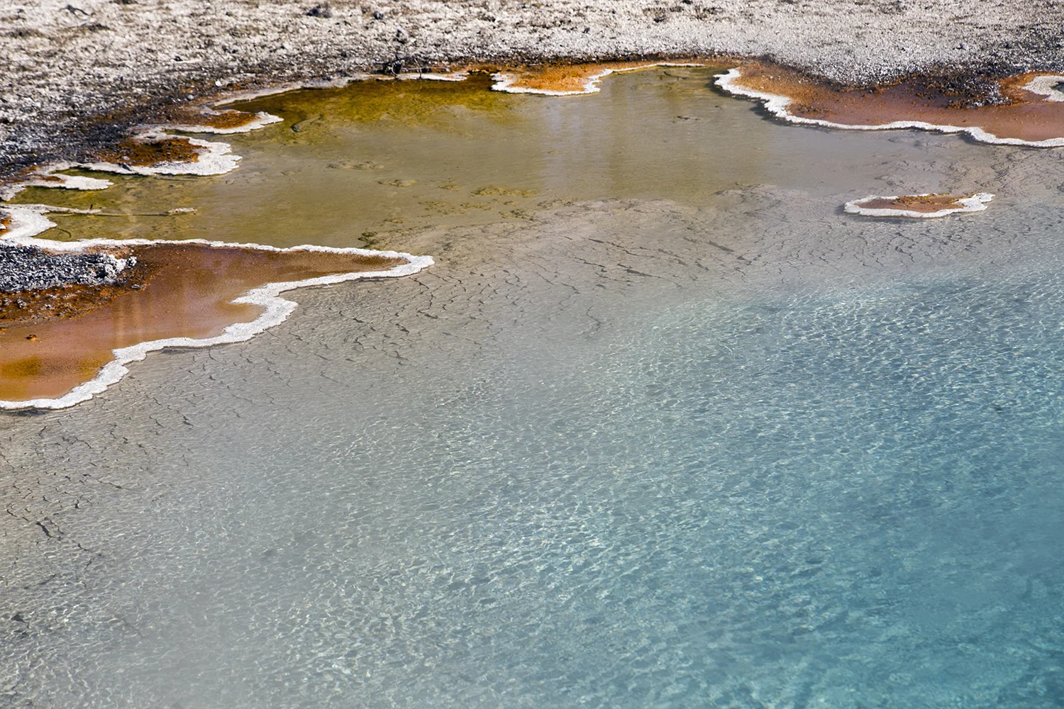 US_WY_Yellowstone_0203.jpg