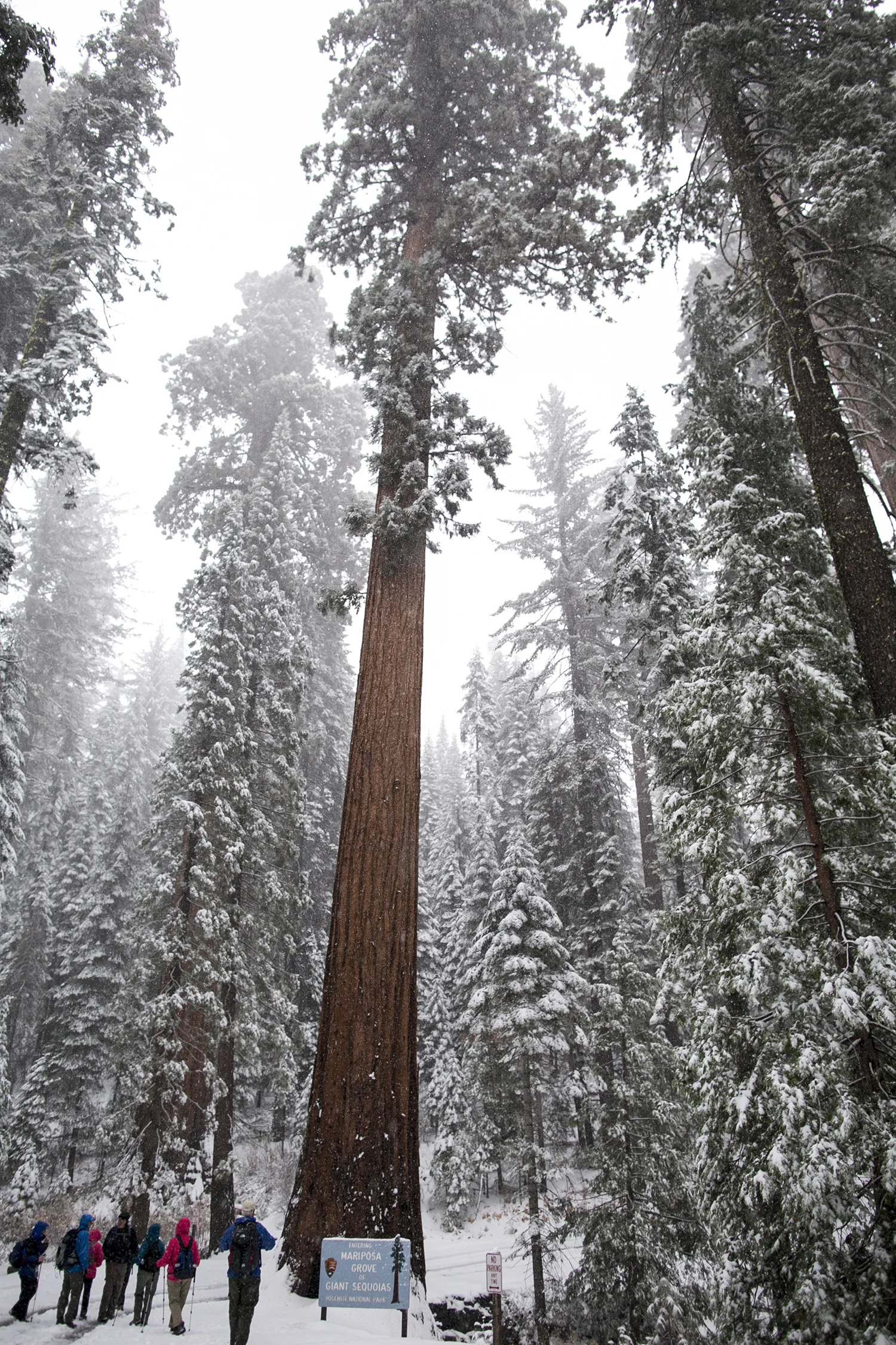 US_CA_Yosemite_Charter_030.jpg