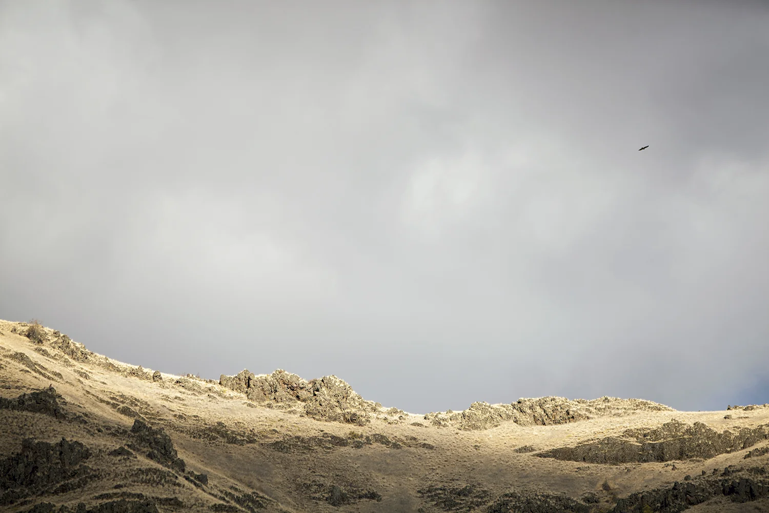 US_ID_HellsCanyon_0015.jpg
