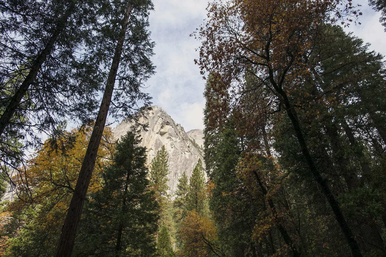 US_CA_Yosemite_Charter_079.jpg