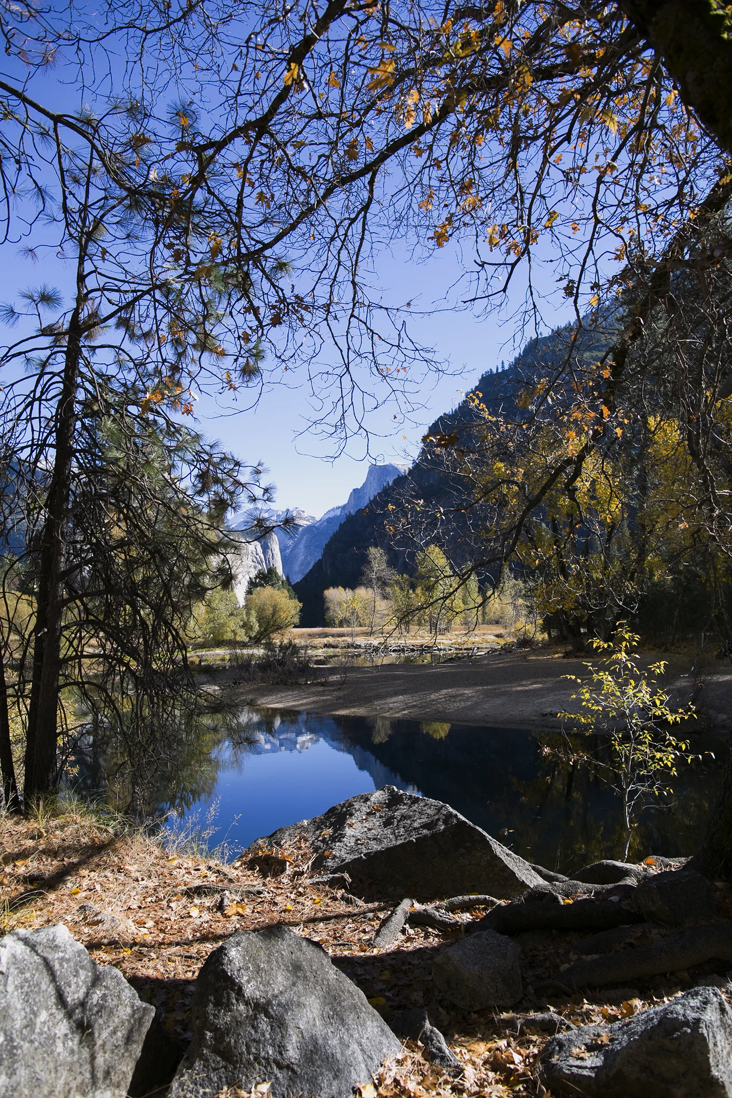 US_CA_Yosemite_Charter_151.jpg