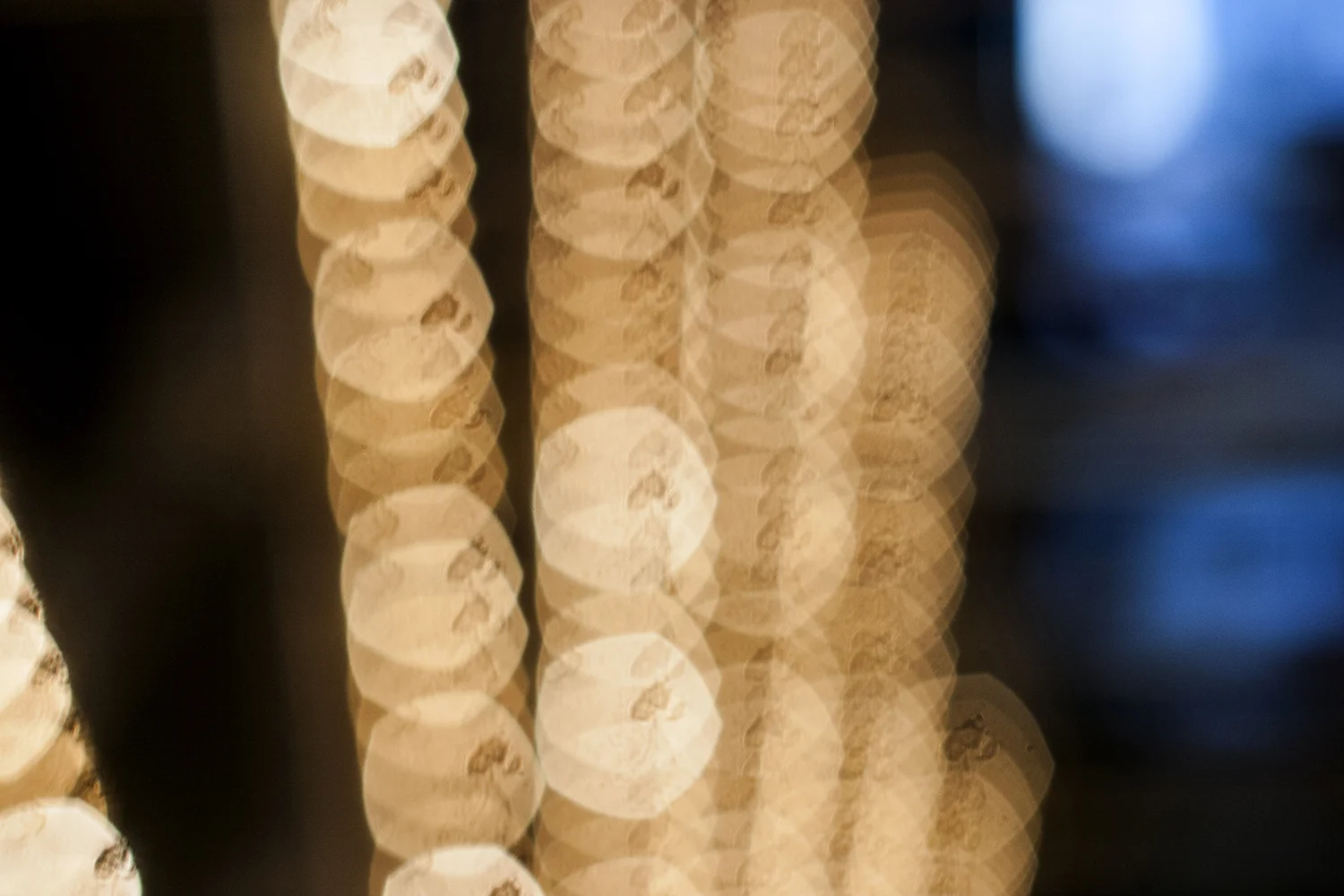 CRW_1120.jpg