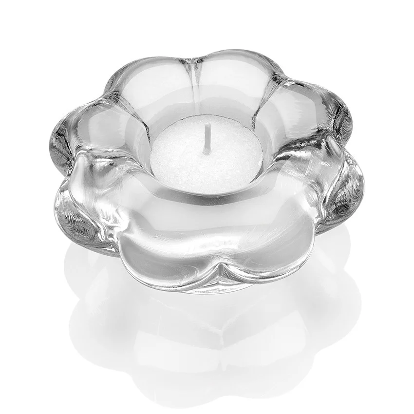 6229.1 paradise (flower).jpg