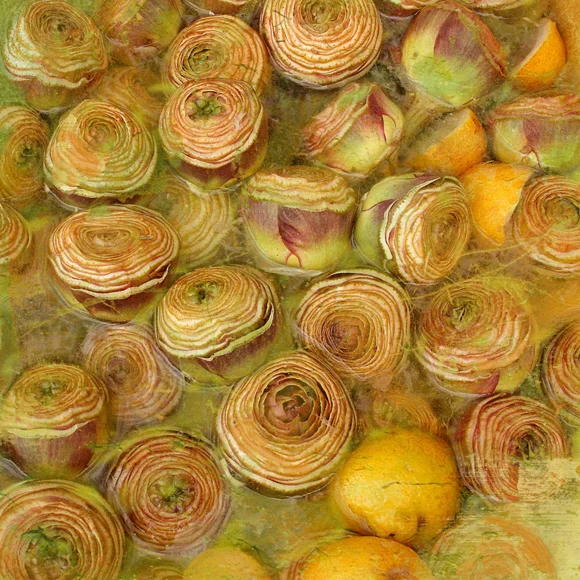 05_Carciofi_2009_Rome_7683_layer_sq.jpg