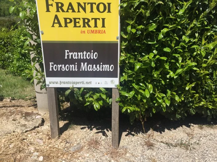 Giannoni Selections 3.jpg
