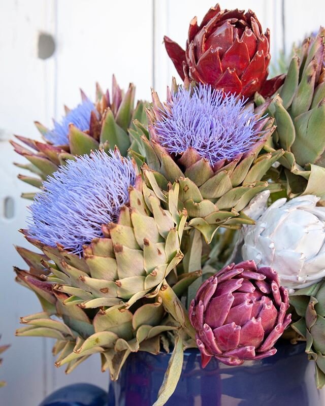 Who knew that artichoke flowers bloom so beautifully? We love how @enzafasanoceramiche mixed in her ceramic versions just in time for spring 🌱
.
.
.
#sowaboston #madeinitaly #GdSstyle#sharemystyle&nbsp;#makehomeyours #homeware #homeaccessories&nbsp;