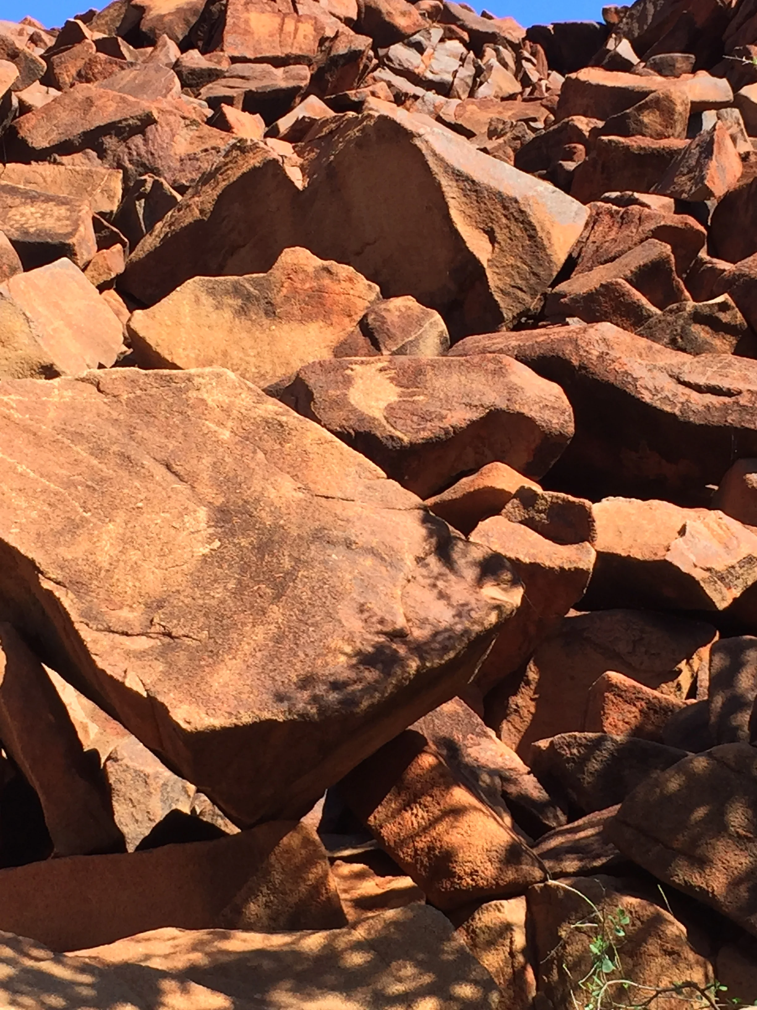 Rock art at Burrup Peninusula/Murujuga
