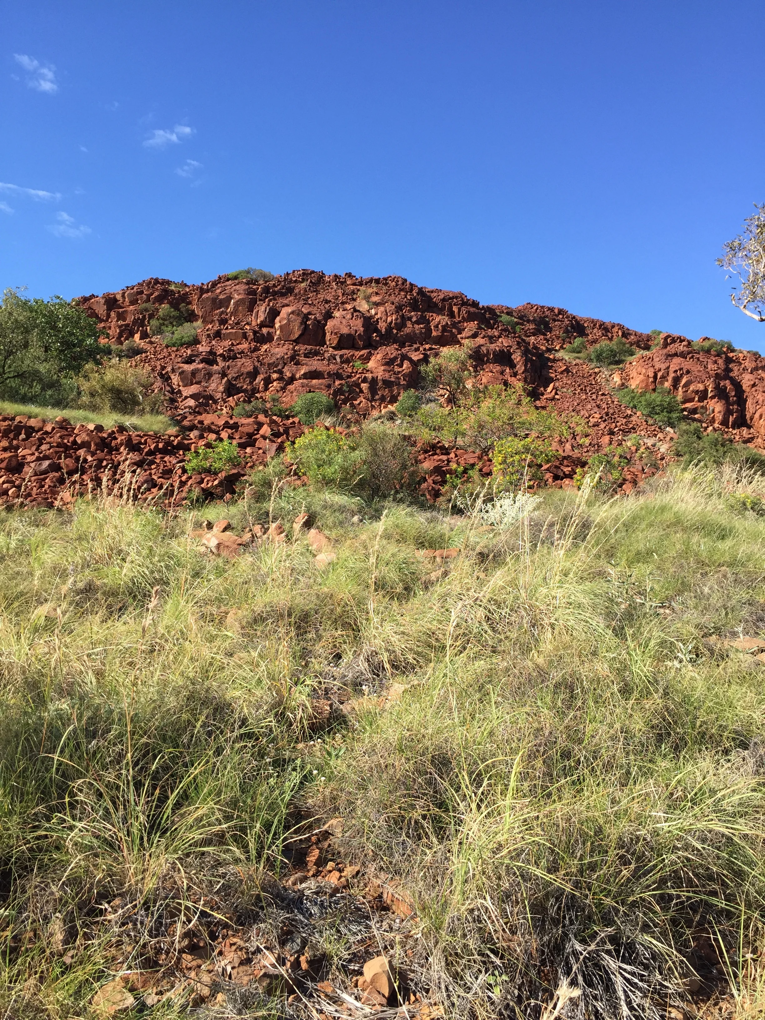 Rock art at Burrup Peninusula/Murujuga