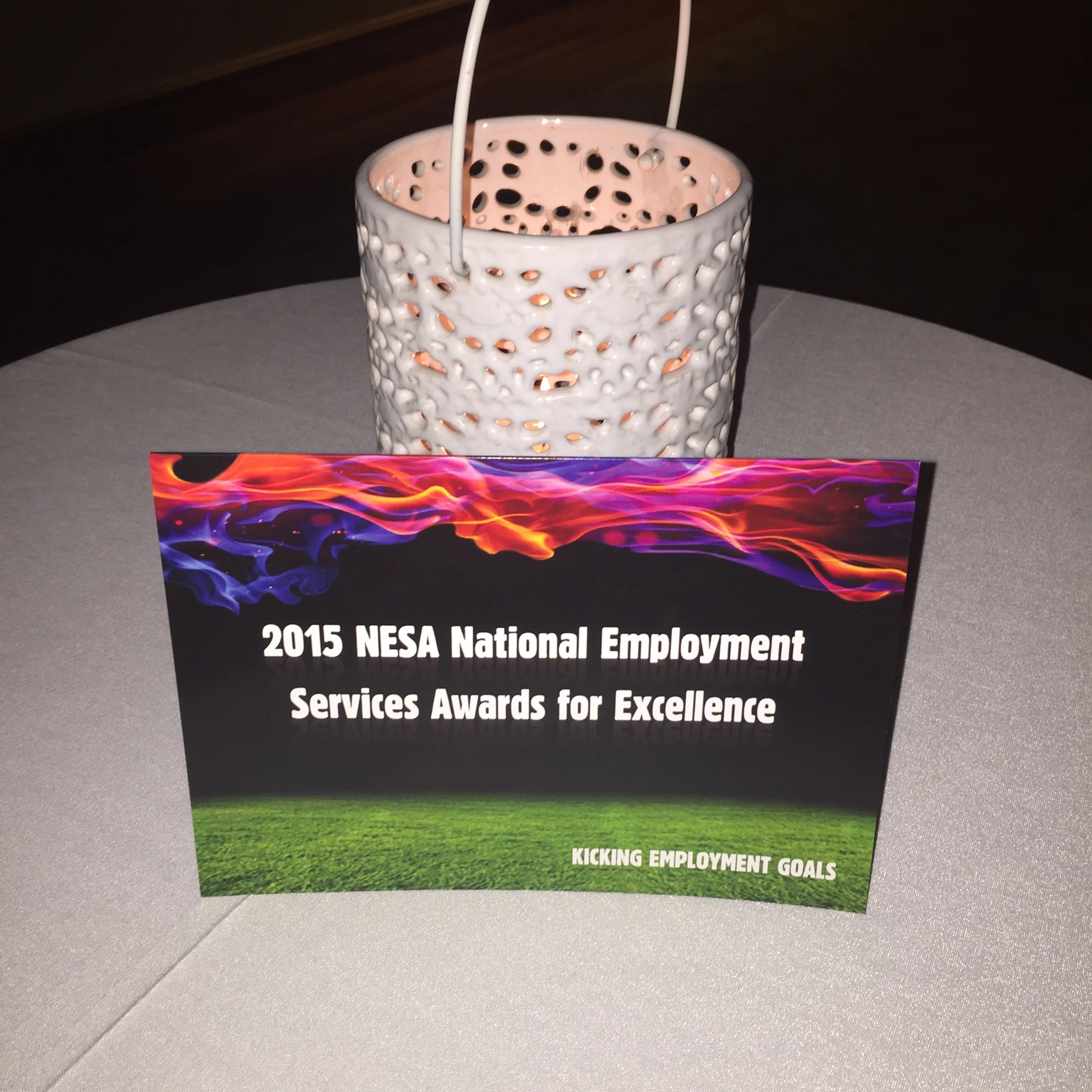 Celebrating achievements at the NESA Awards for Excellence