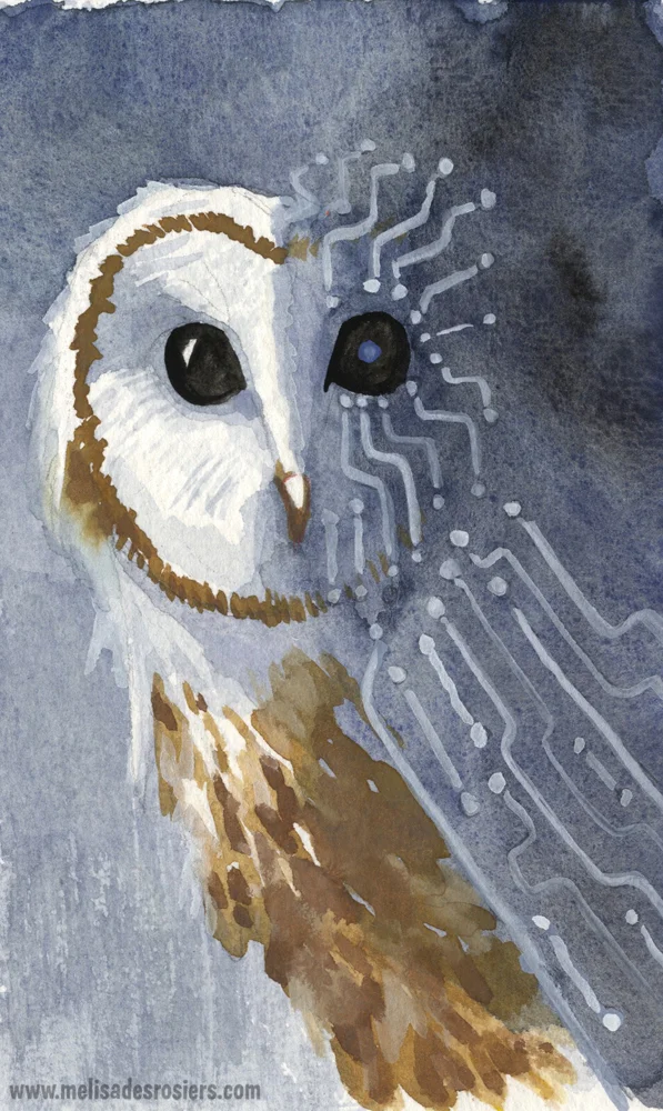 Owl Android