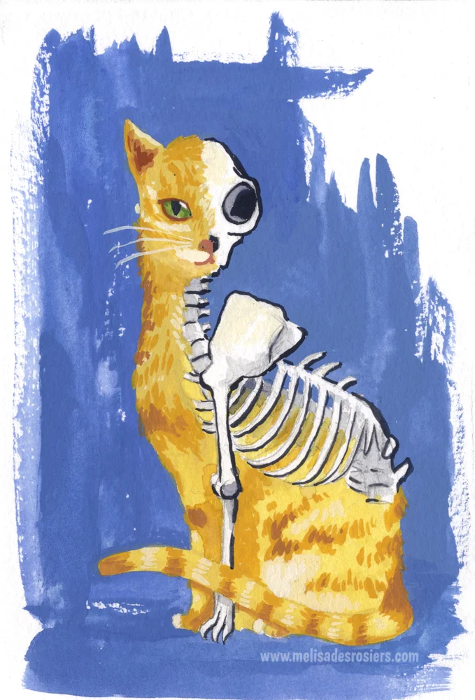 Schrodinger's Cat