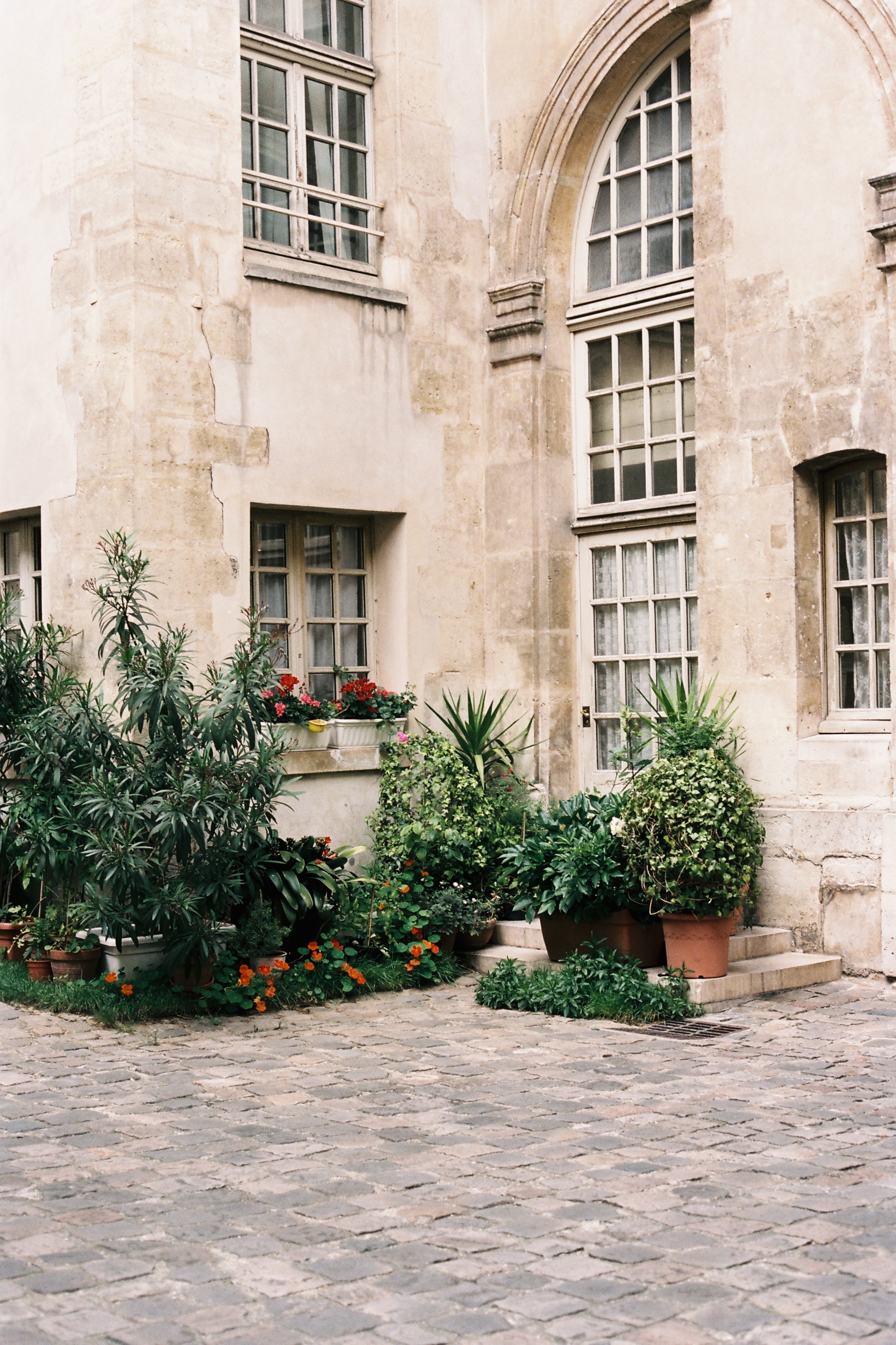 Iciar J. Carrasco_VEIN Sept_Look 7_29.JPG