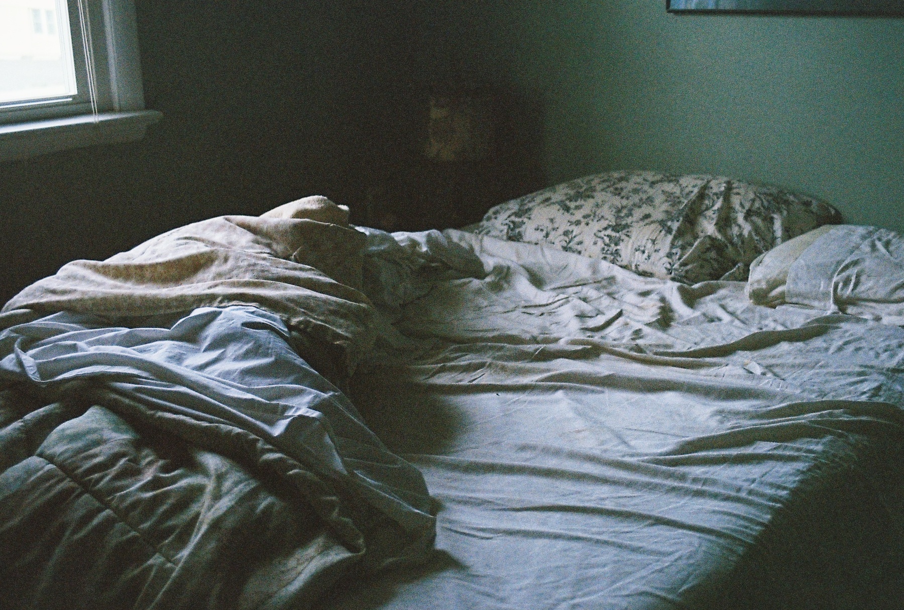 8410320357_7f4eefee5a_o.jpg