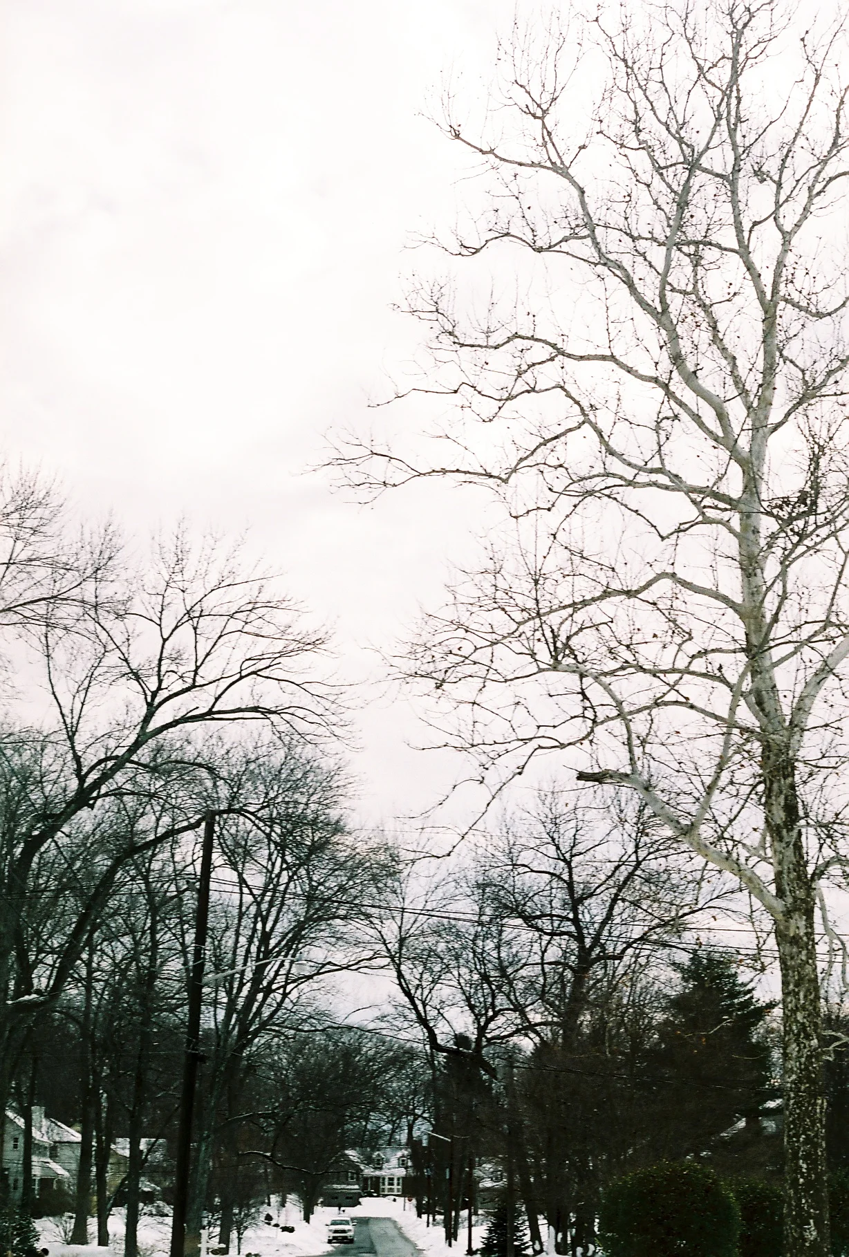 A003785-R1-25-12 copia.jpg
