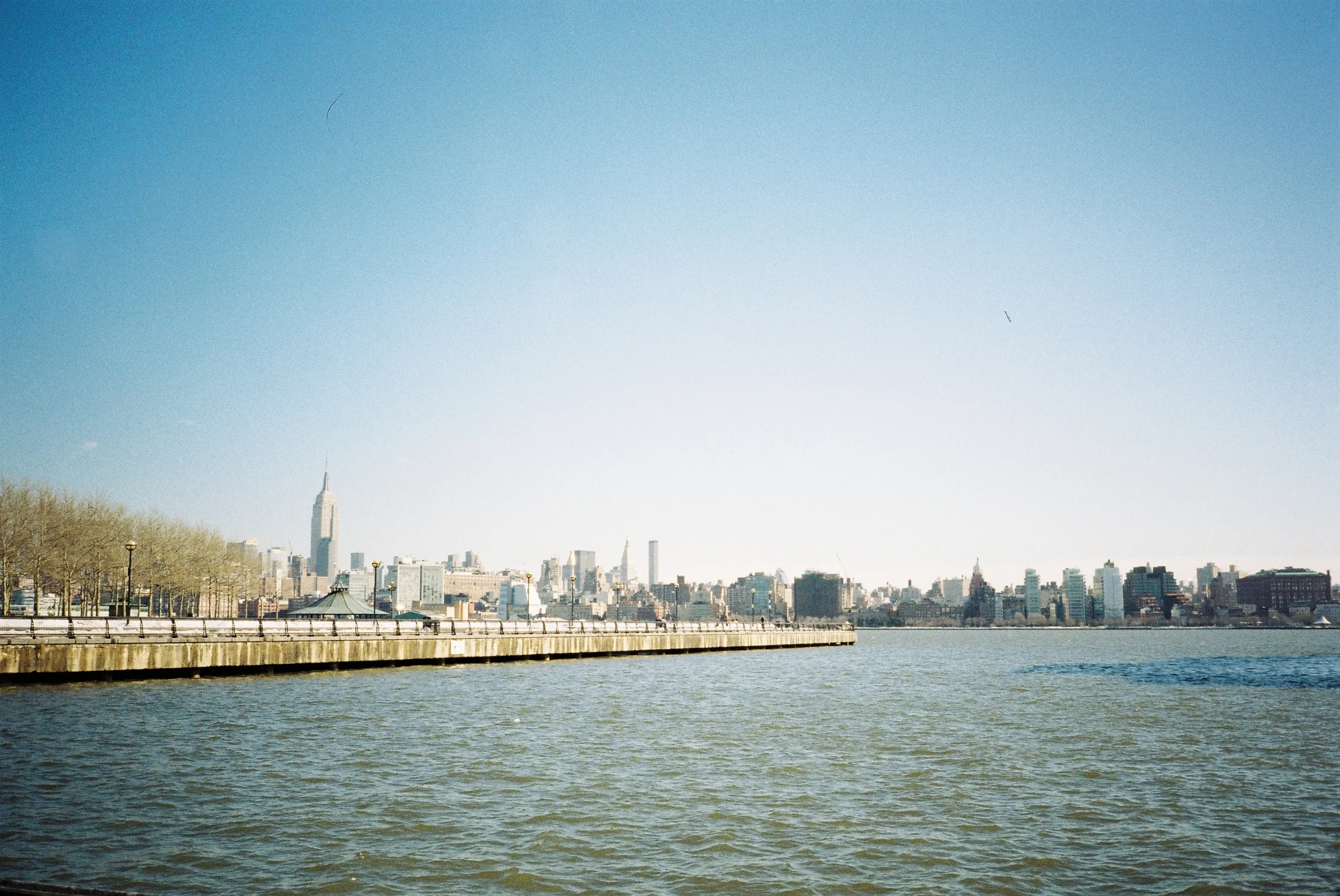A003776-R1-03-4.jpg