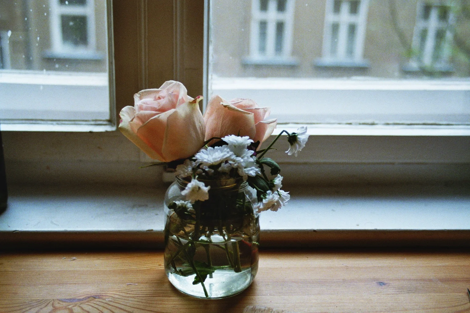 die-berreste-einer-blume-krone_8194886101_o.jpg