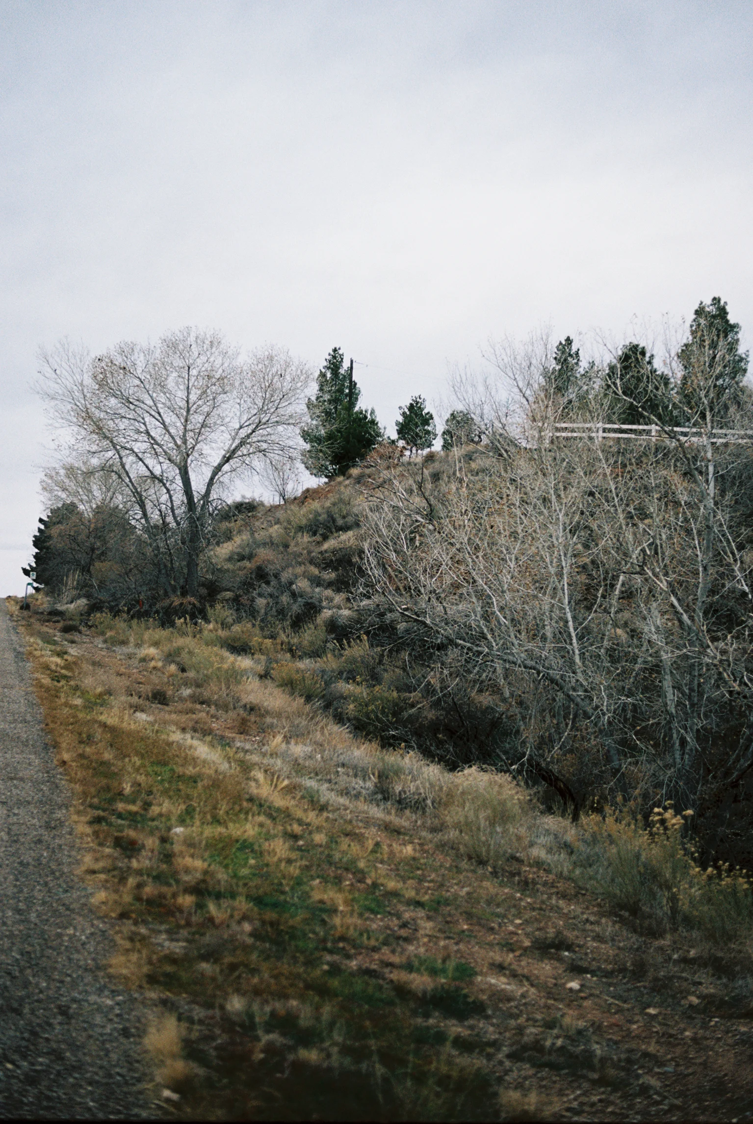 Iciar J. Carrasco_Utah_Zion_5.jpg