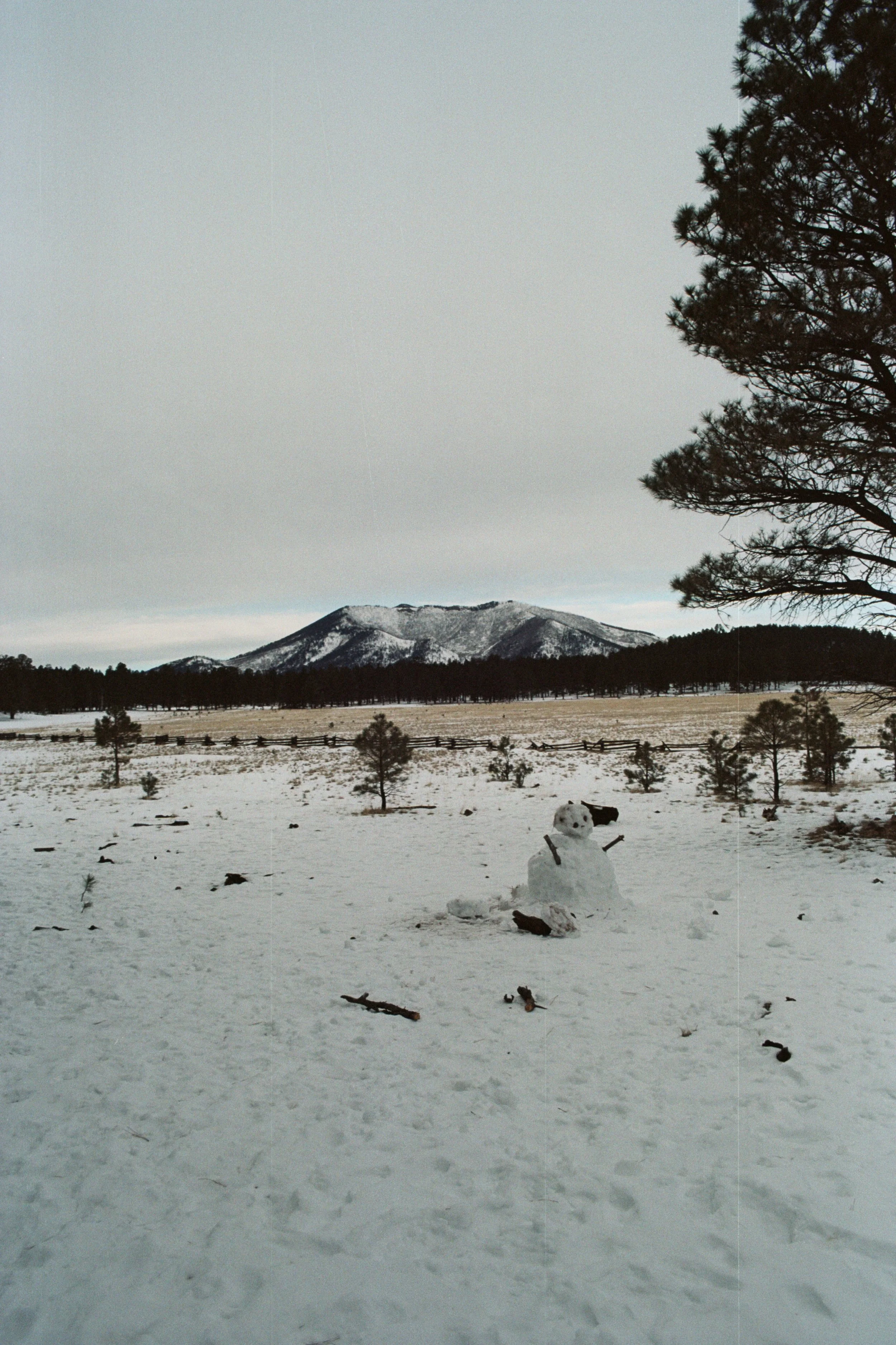scan0003.jpg
