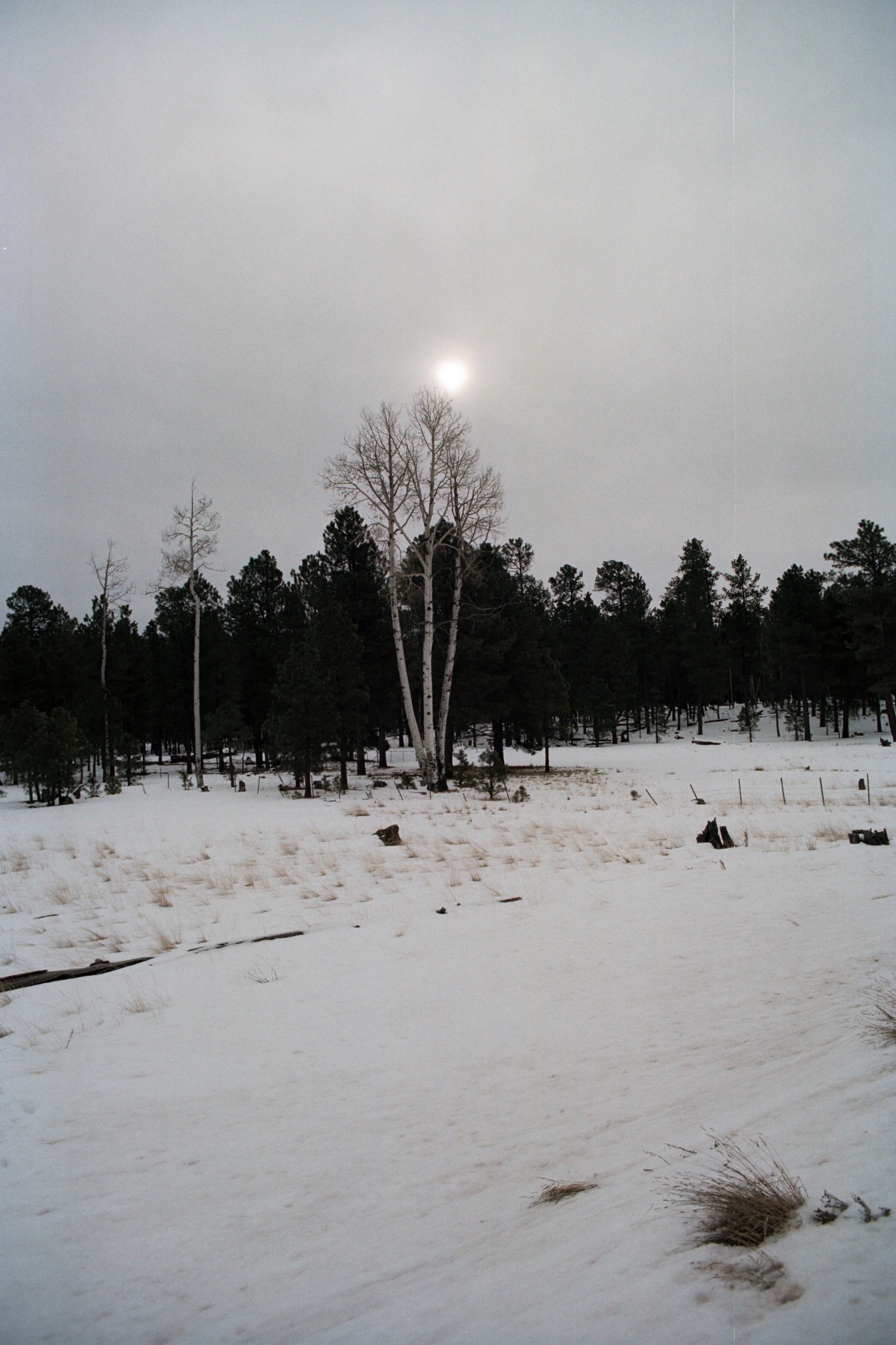 scan0010.jpg