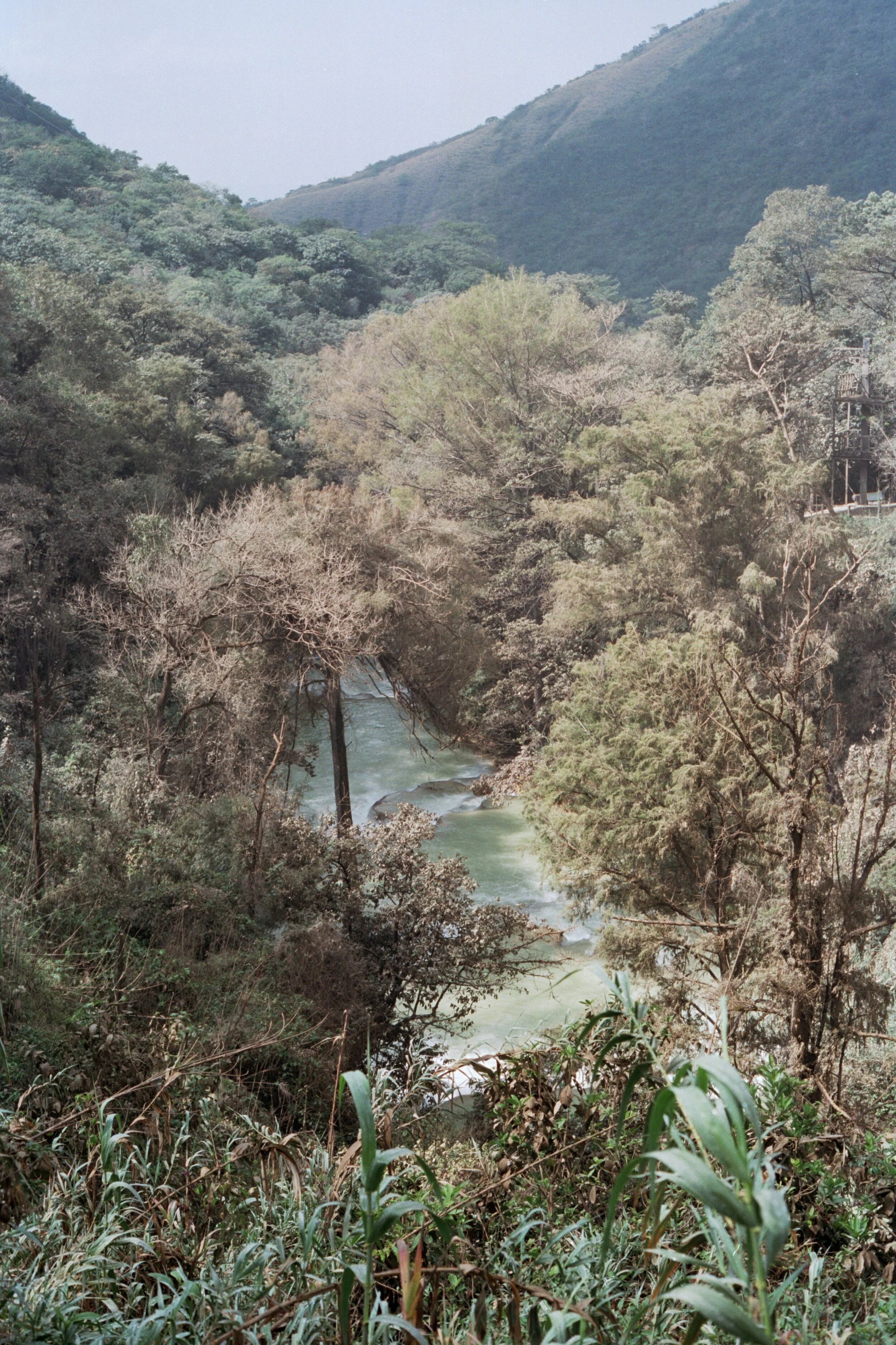 scan0013.jpg