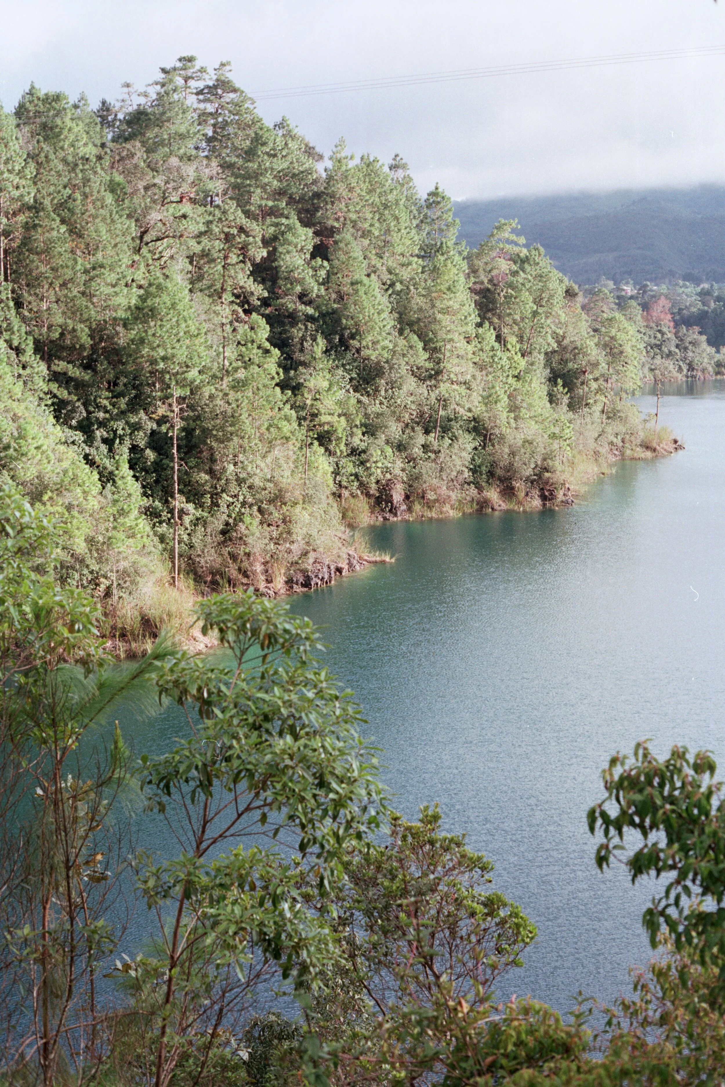 scan0038.jpg