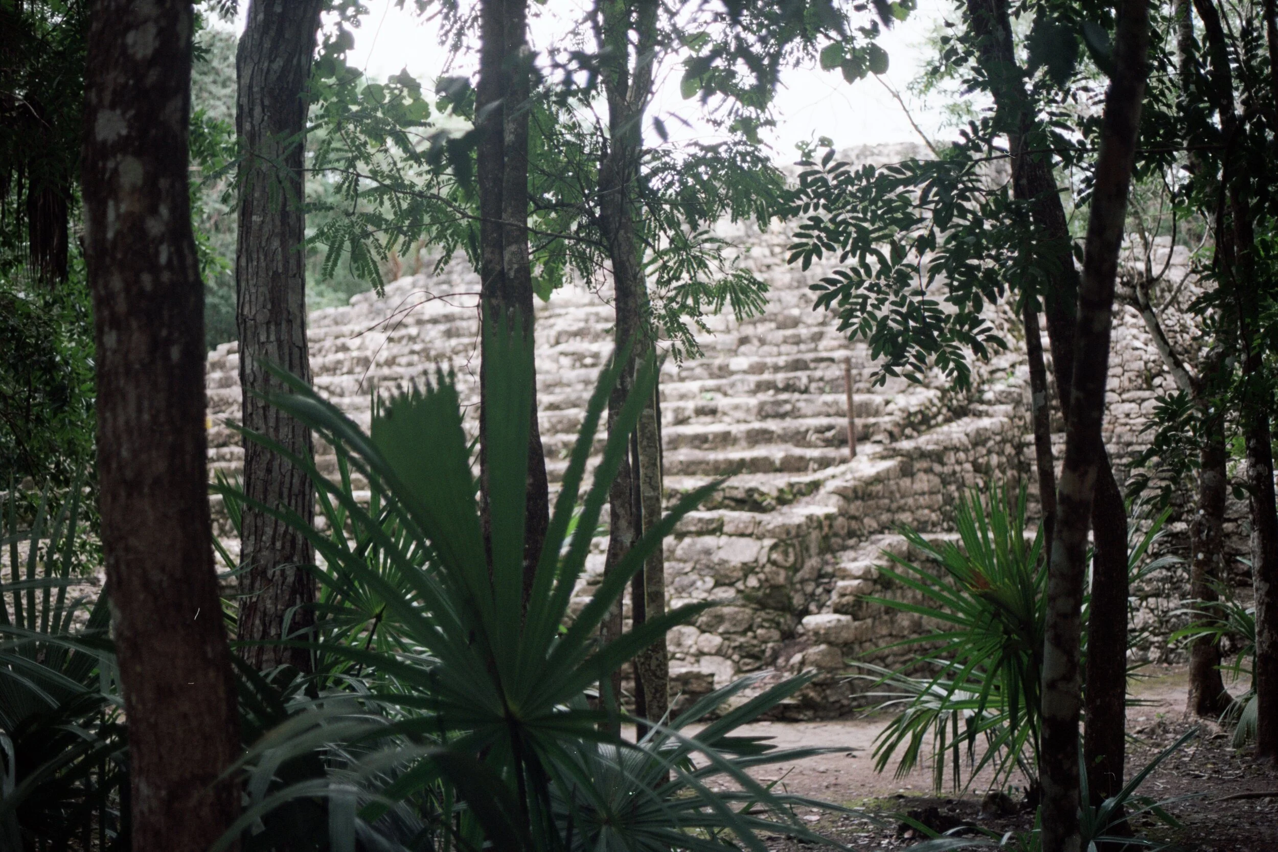 scan0022.jpg