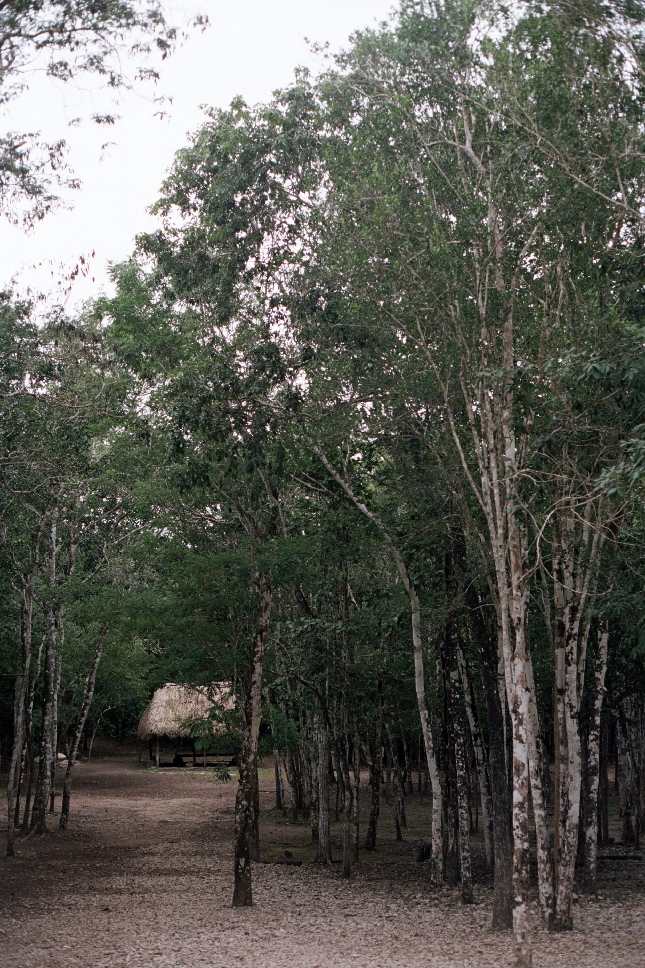 scan0035.jpg
