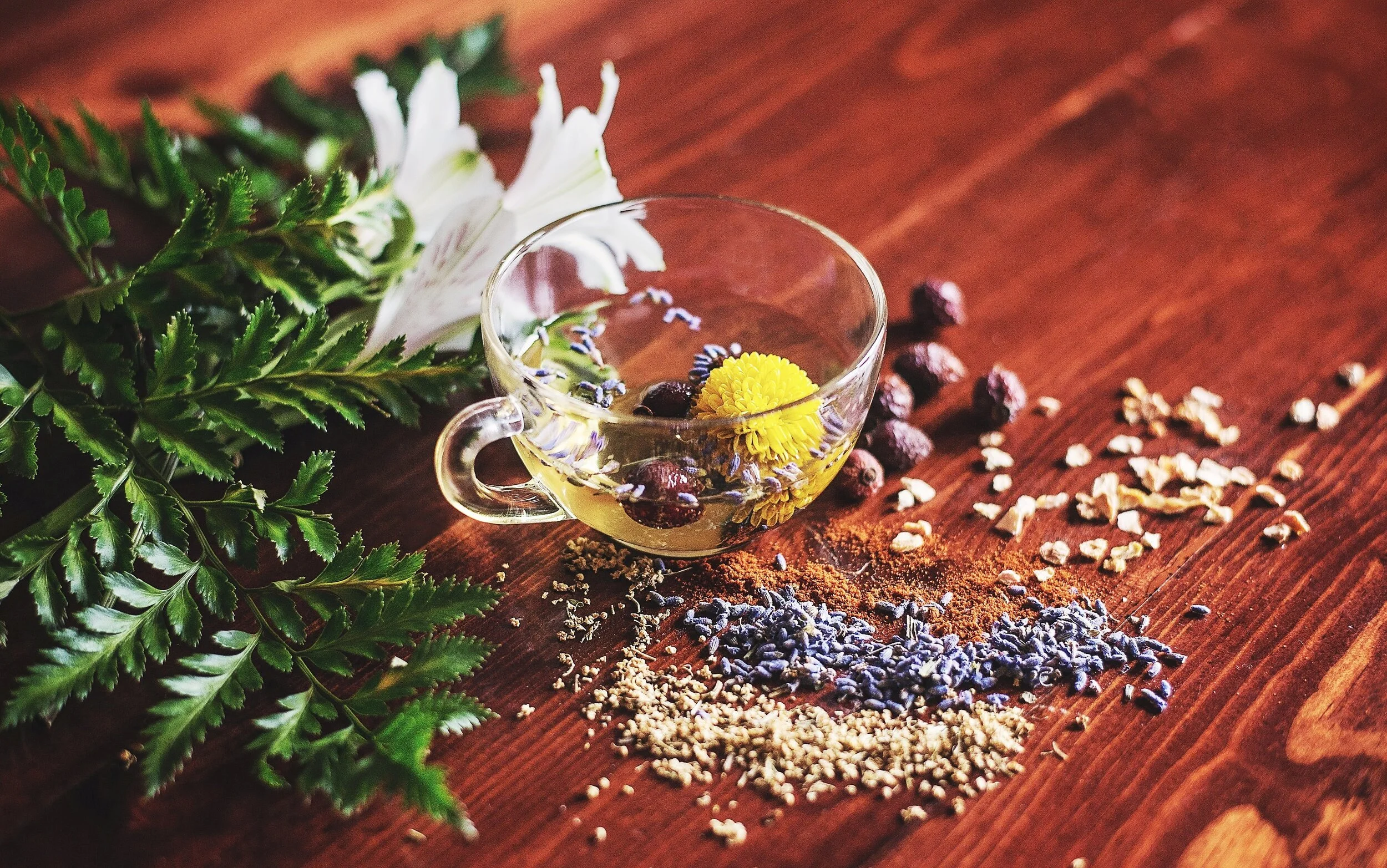 Renewal Wellness Fair: August 24th, 2025