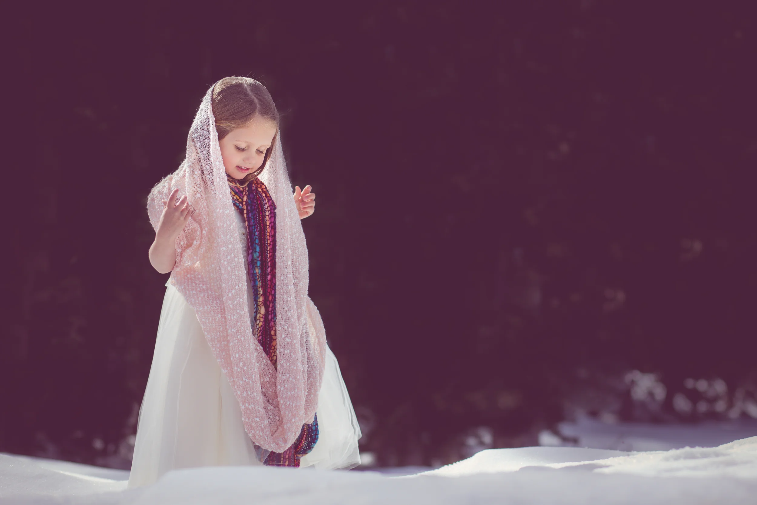  "When snow falls, nature listens..."  ~ Antoinette van Kleeff  