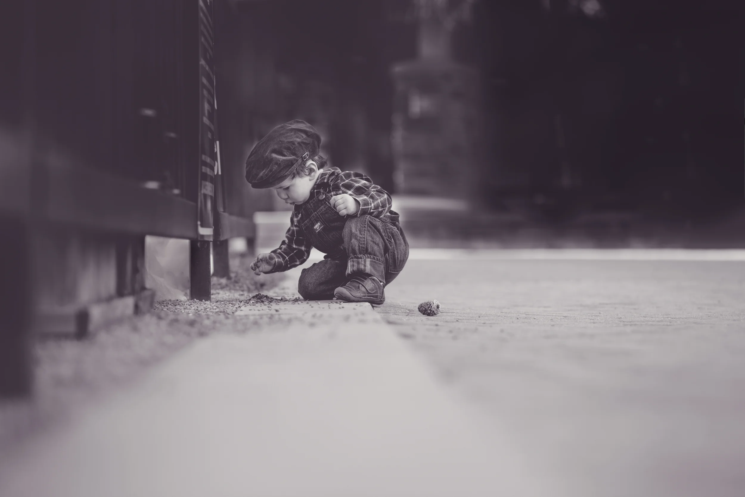  "Stones in the road? I save every single one, and one day I’ll build a castle."  ~ Fernando Pessoa  