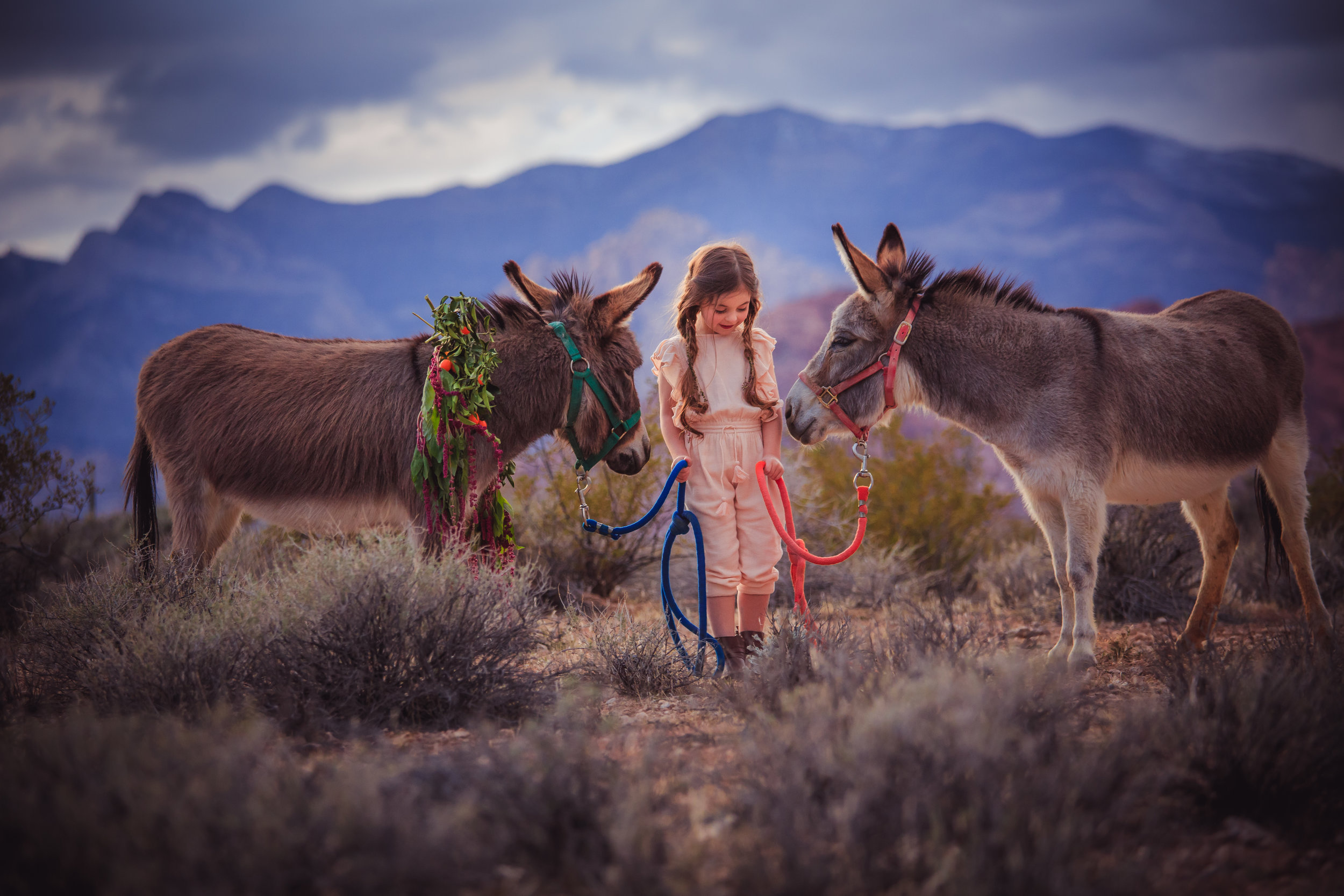  "The language of friendship is not words but meanings."  ~ Henry David Thoreau  