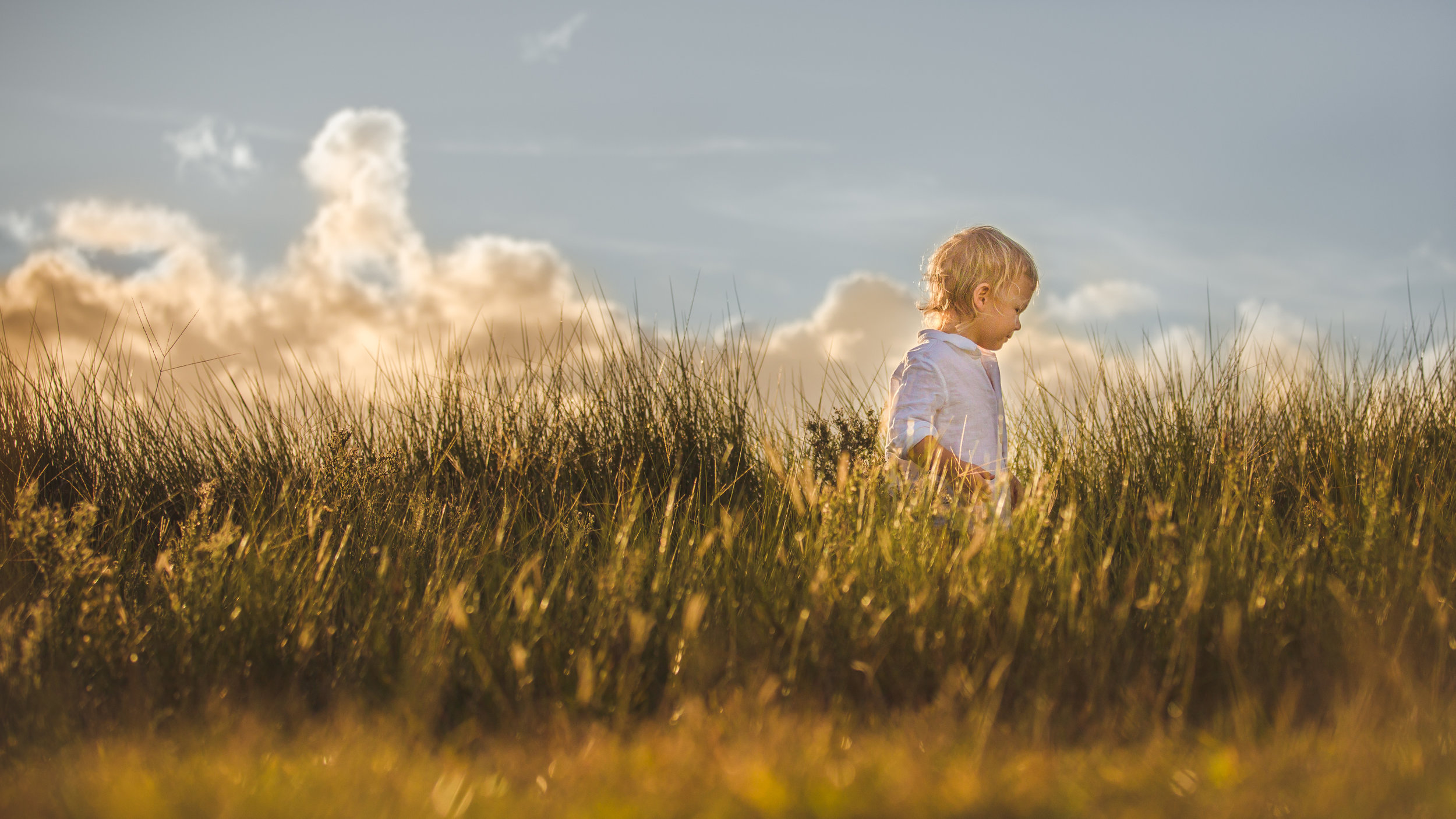  "Explore. Dream. Discover"  ~ Mark Twain  