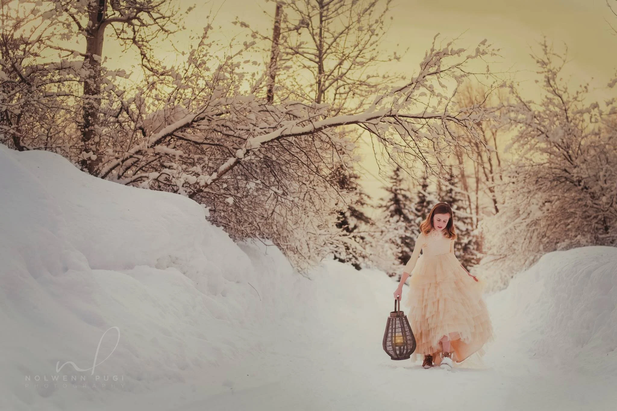  "Deep in their roots, all flowers keep the light." ✨🕯   ~ Theodore Roethke  