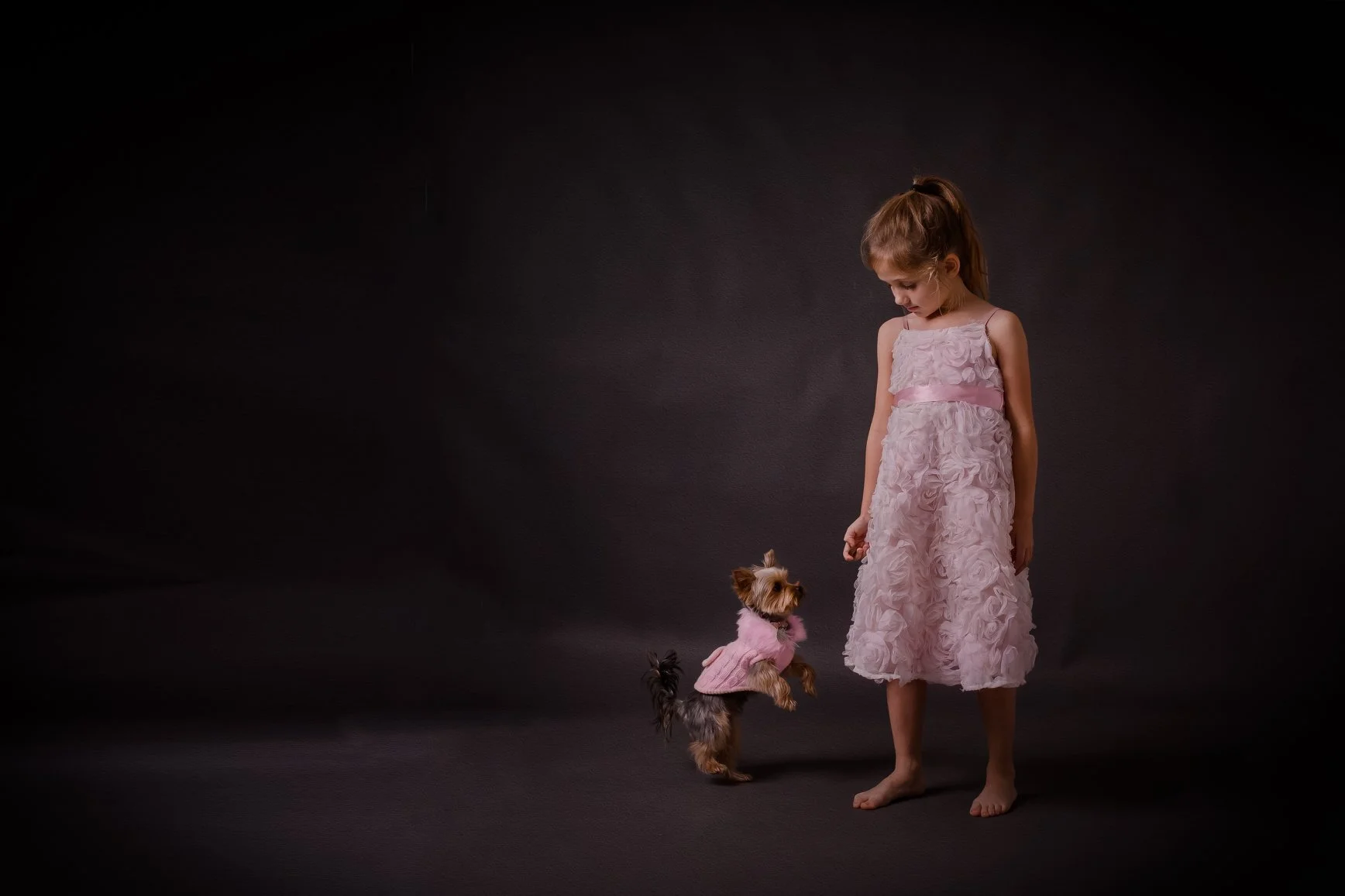  "My little dog - a heartbeat at my feet." 💕   ~ Edith Wharton  