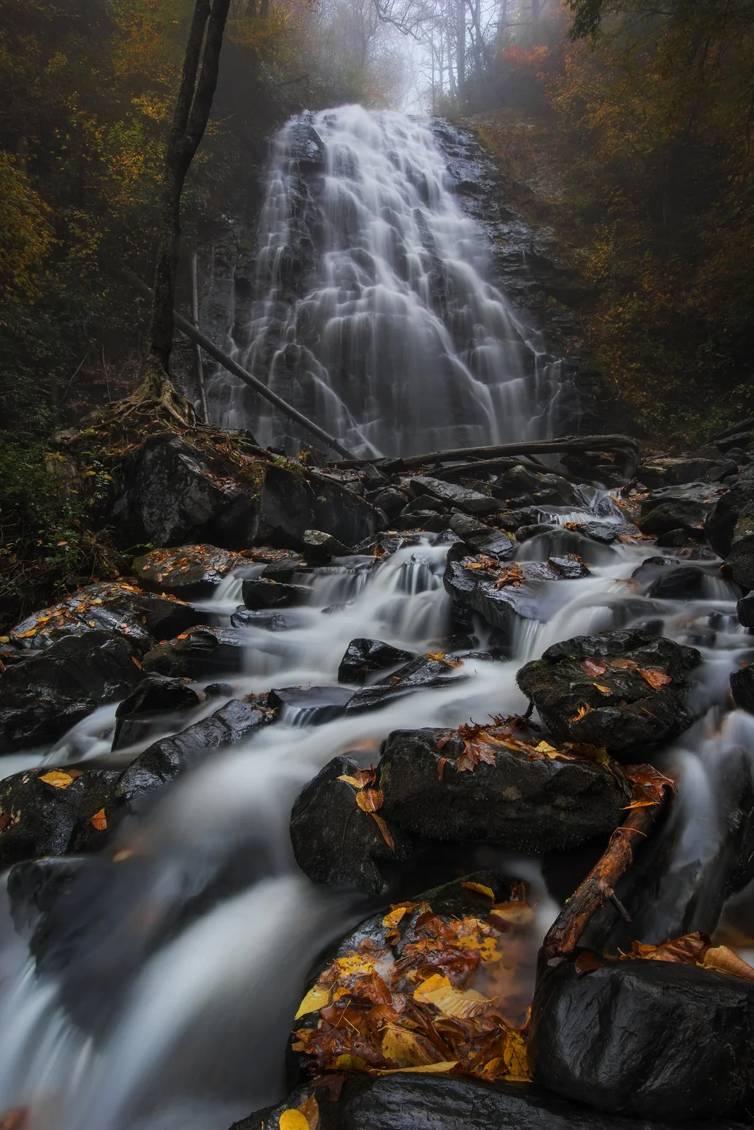 Photographing Fall Color.jpg