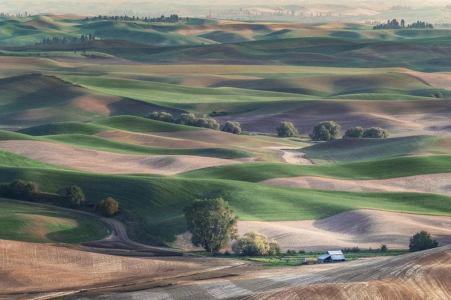American Landscape(JPEGMini).jpg