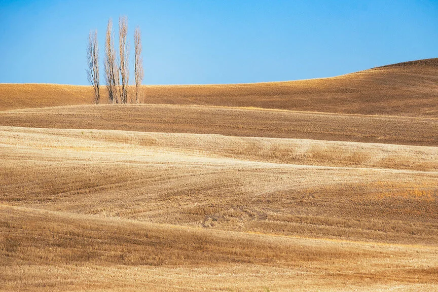 Palouse Photo Workshop