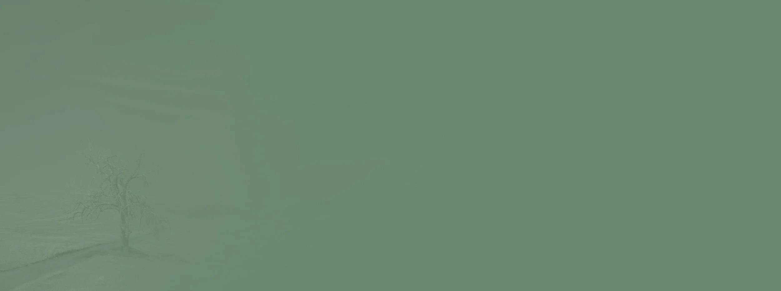 green_palouse.jpg