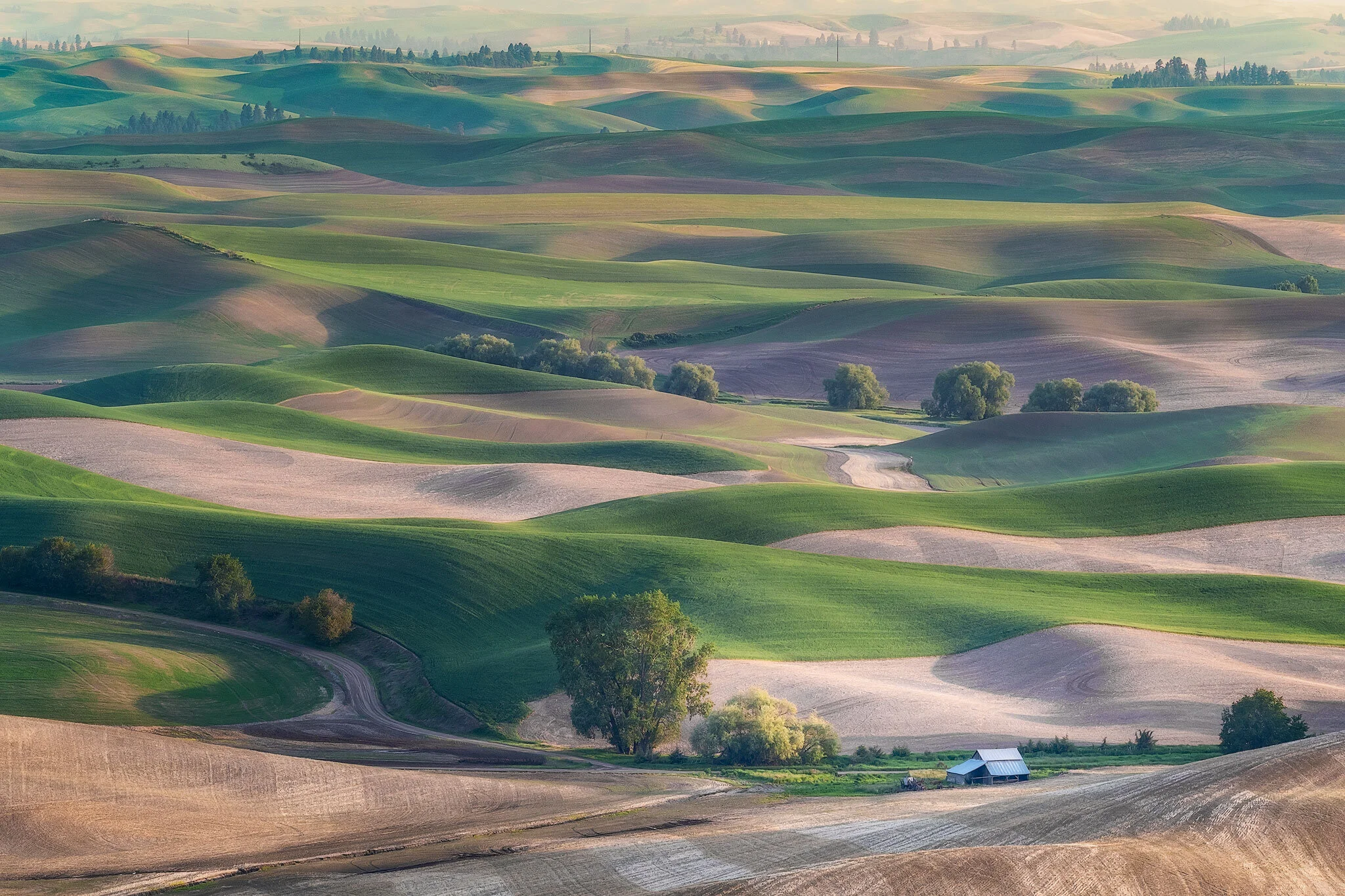 American-Landscape (1).jpg