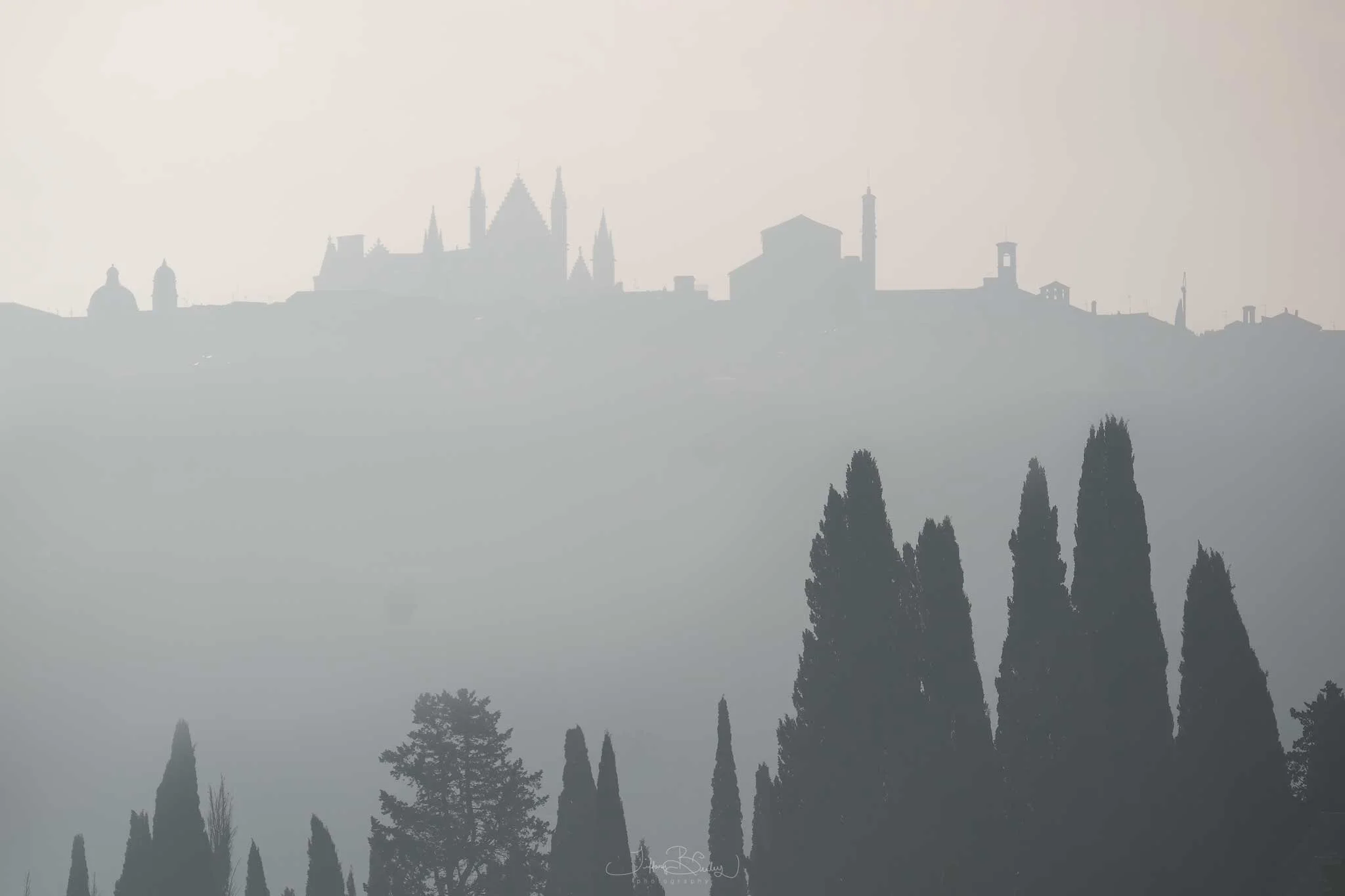 Orvieto-and-tree-skyline-with-logo.jpg