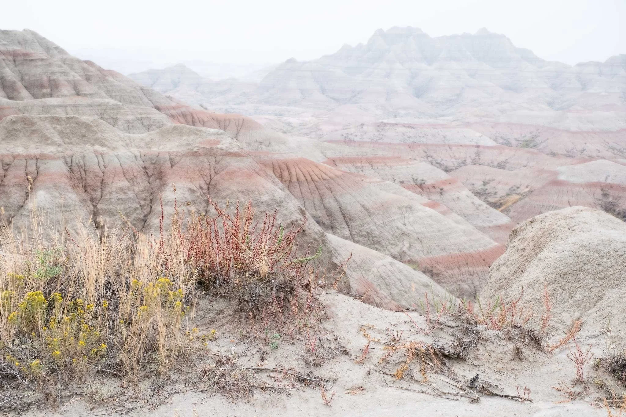 badlands-high-key-for-web.jpg