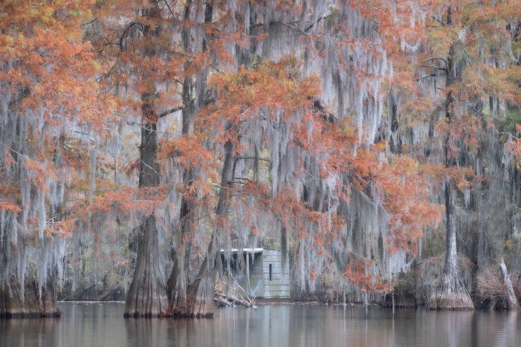 The-Hilton-for-web 2.jpg