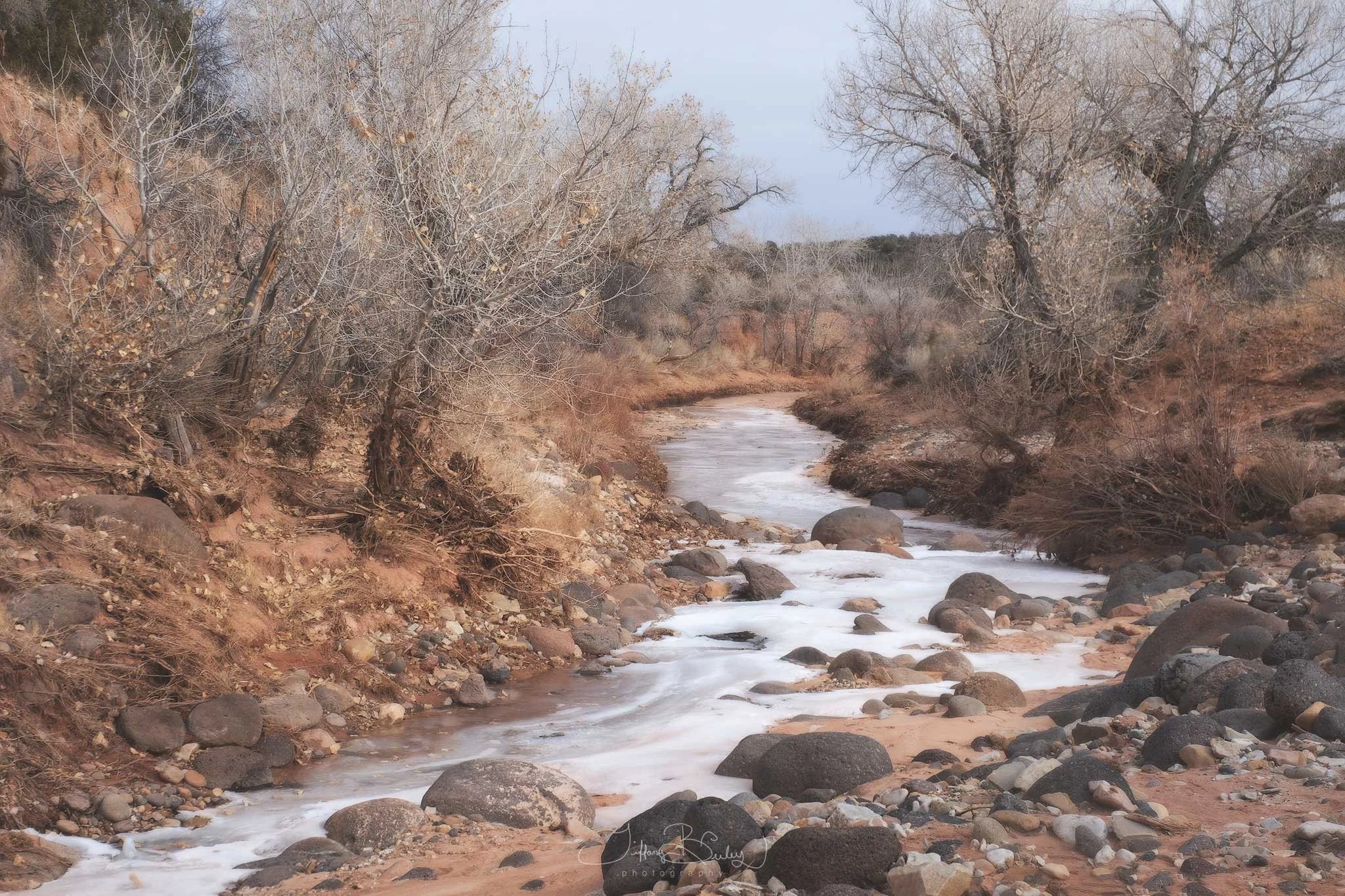 WINTER-RIVER-with-logo.JPG