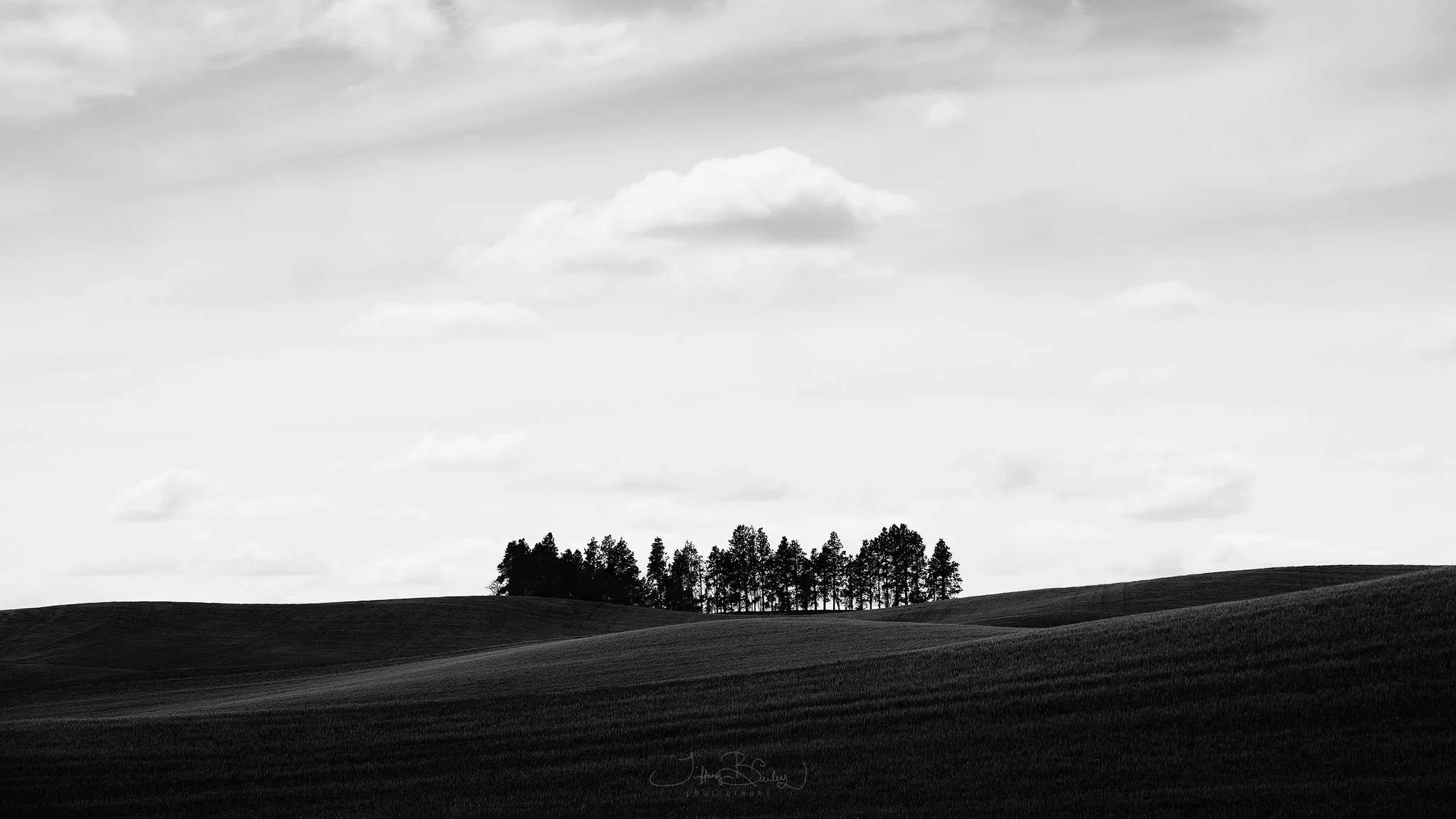 Shades-Of-The-Hills-with-logo 2.JPG